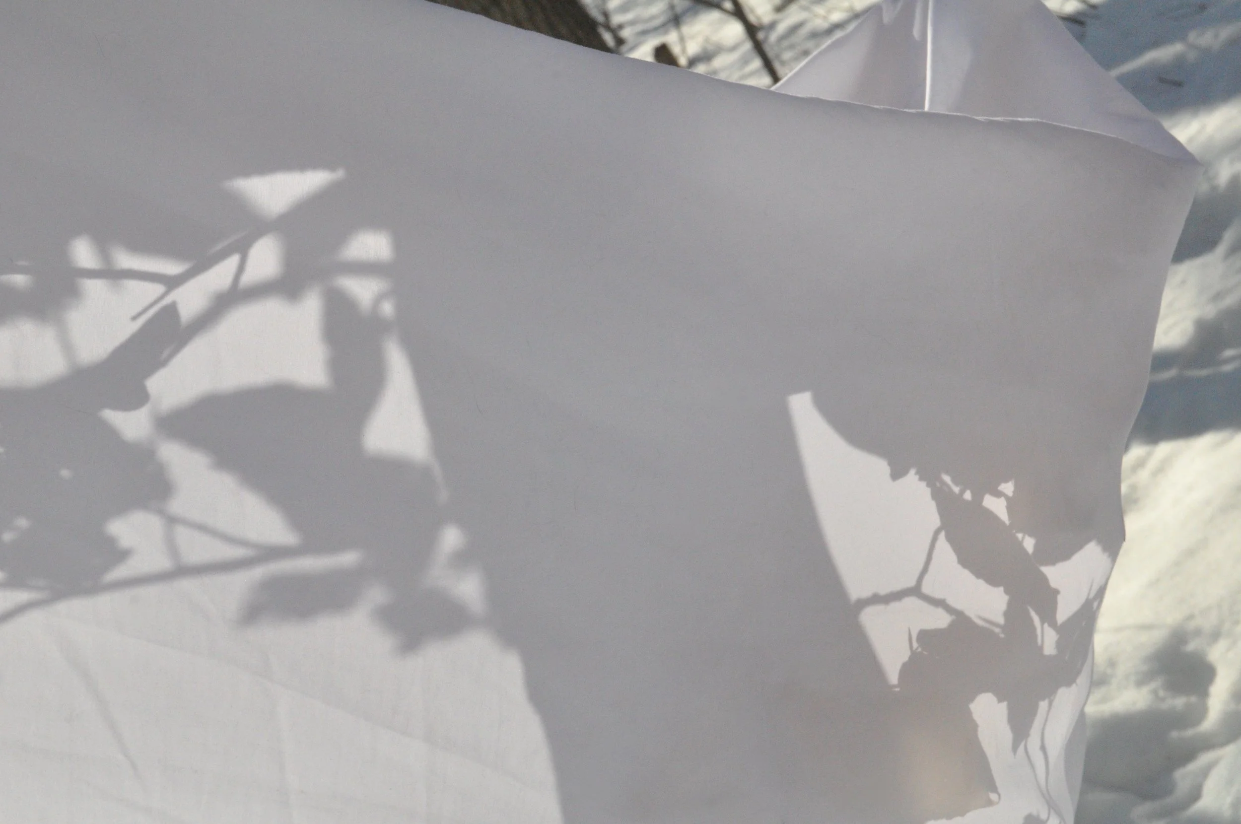 Our shadow draws a breath