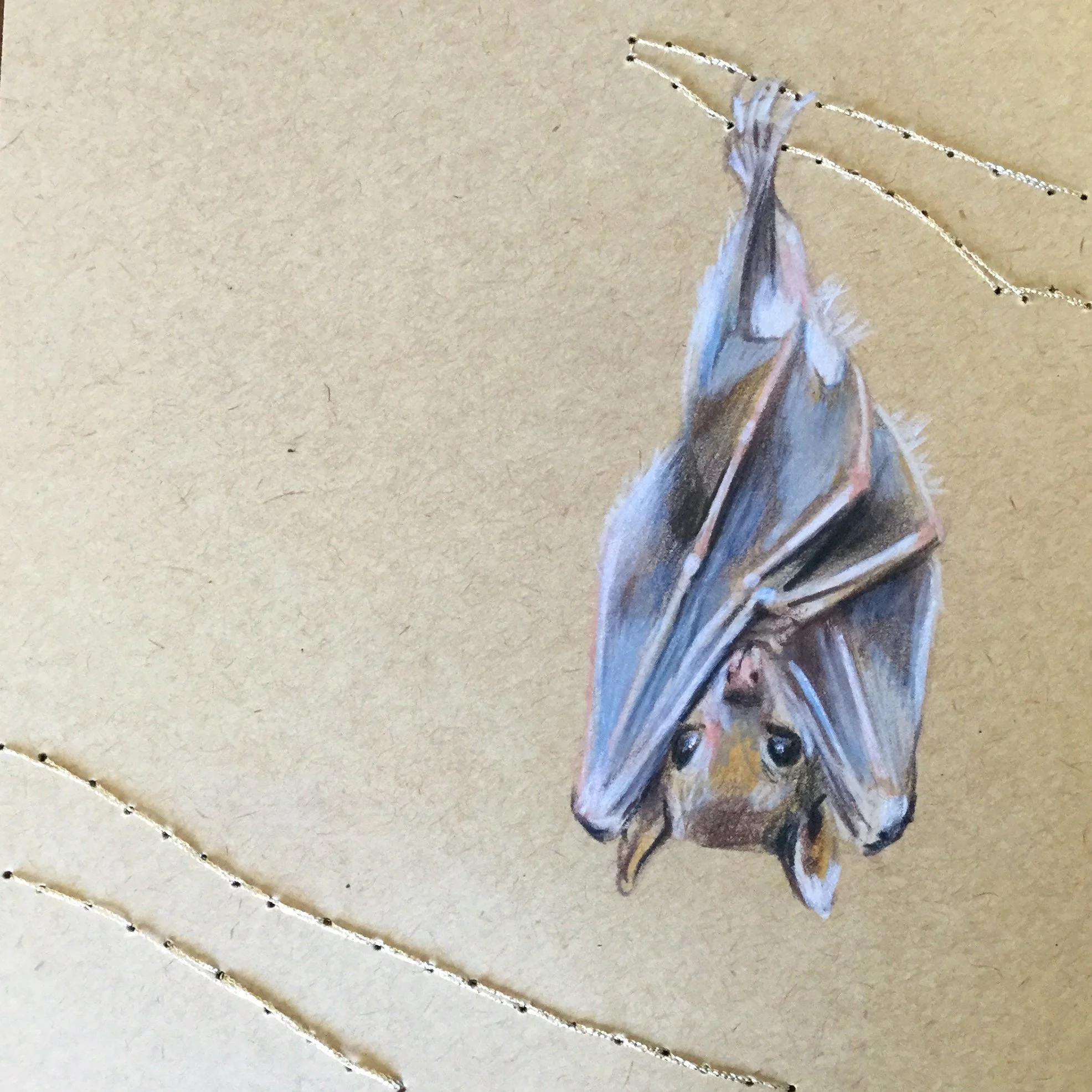 "Bosque VIII"

12x12 cm

Lápis de cor e linha de poliéster sobre papel
[colecção privada]
