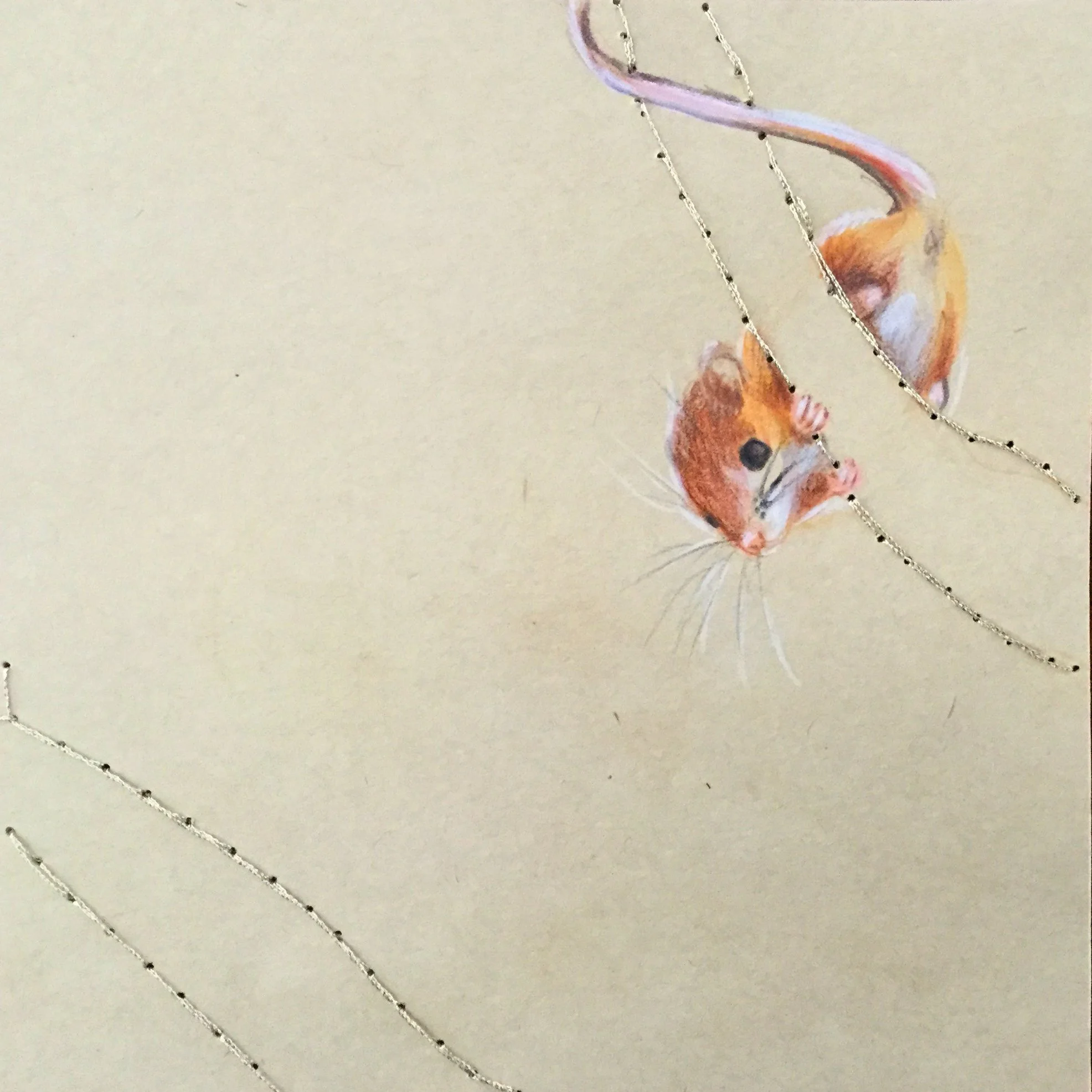 "Bosque IX"

12x12 cm

Lápis de cor e linha de poliéster sobre papel

[colecção privada]