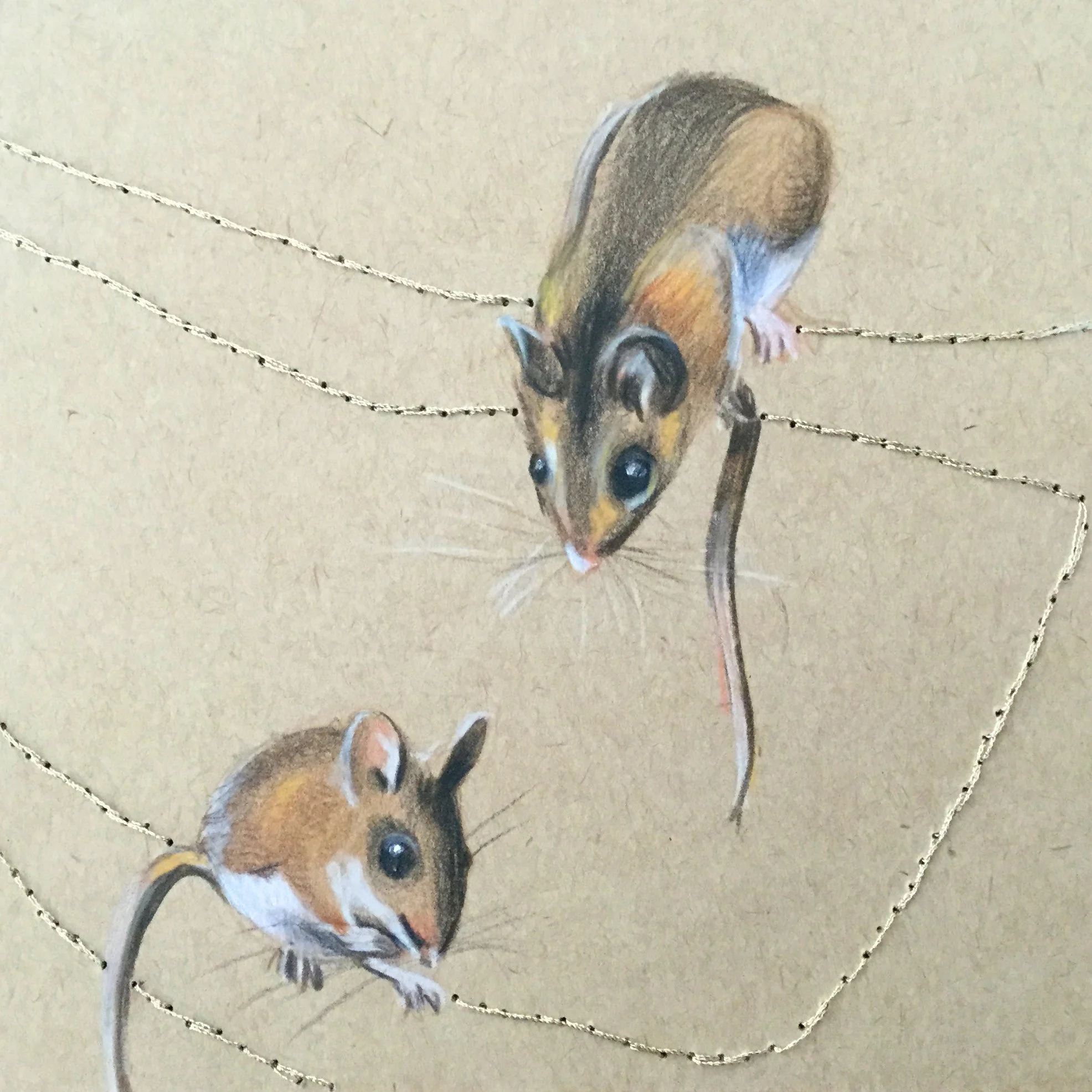 "Bosque III"

12x12 cm

Lápis de cor e linha de poliéster sobre papel
[colecção privada]