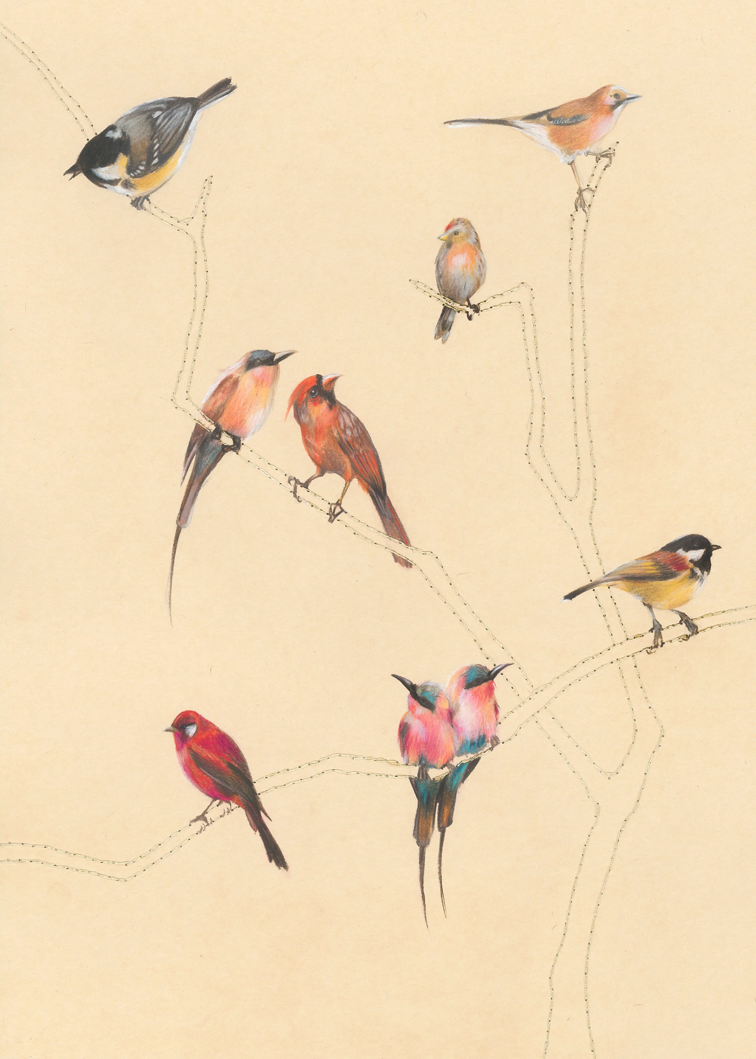 "Passarada Rosa"

50x70 cm

Lápis de cor e linha de poliéster sobre papel
[colecção privada]