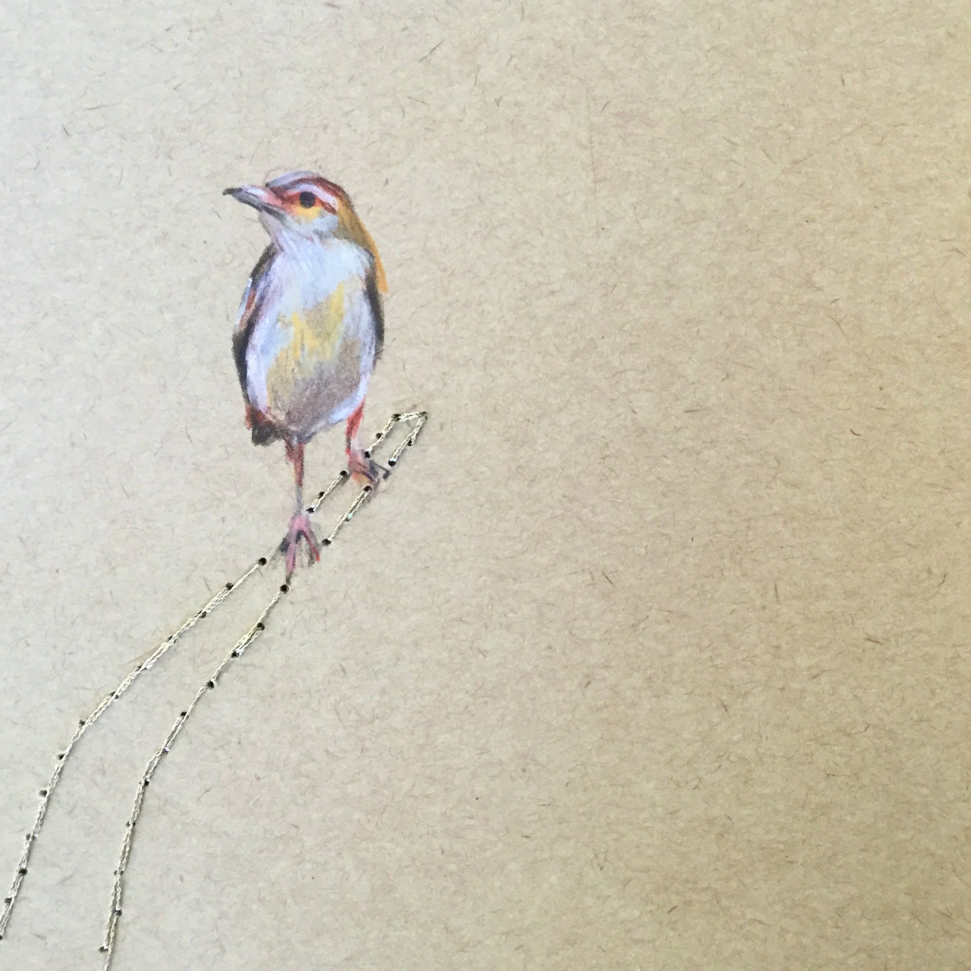 "Bosque V"

12x12 cm

Lápis de cor e linha de poliéster sobre papel
[colecção privada]