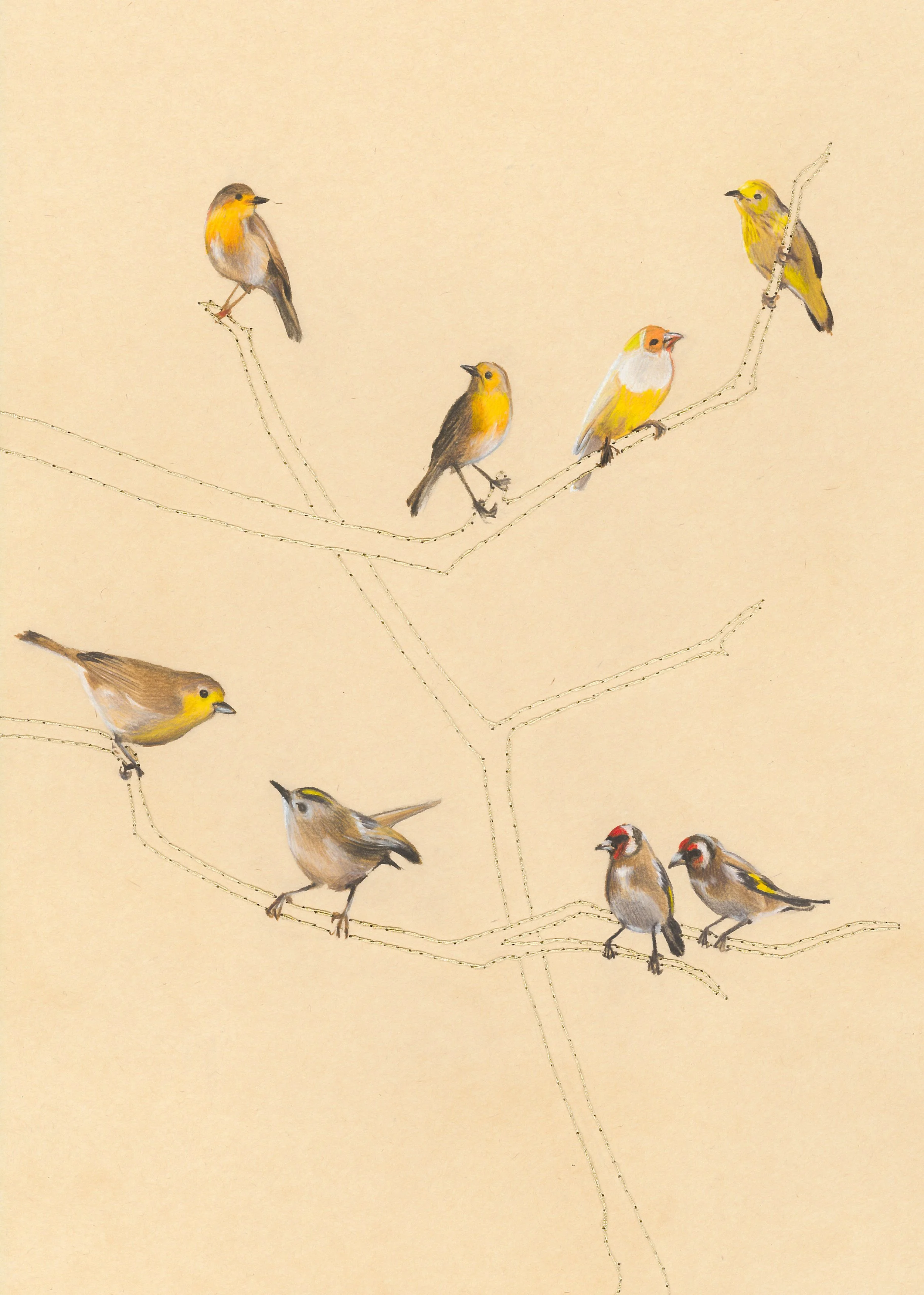 "Passarada Amarela"

50x70 cm

Lápis de cor e linha de poliéster sobre papel
[colecção privada]