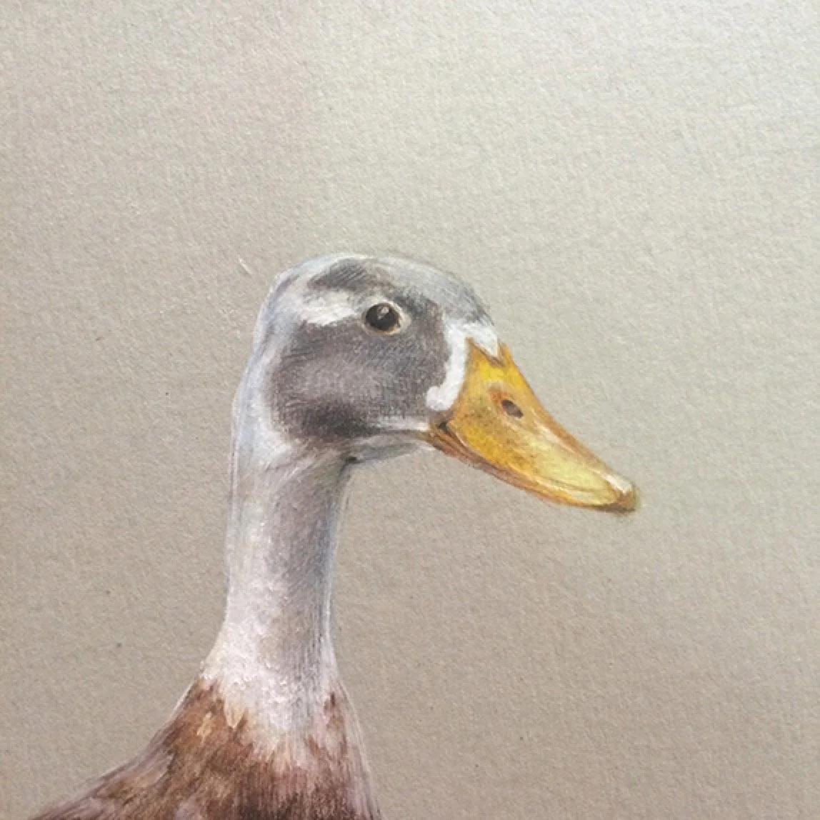 "Capoeira II"
20x20 cm

Lápis de cor sobre papel
[colecção privada]