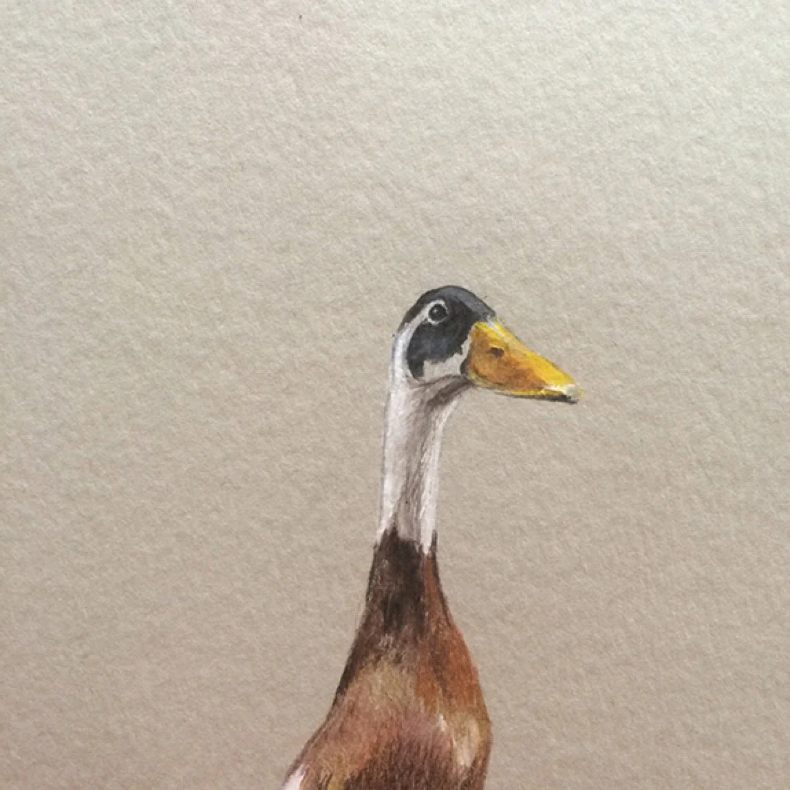 "Capoeira I"
20x20 cm

Lápis de cor sobre papel
[colecção privada]