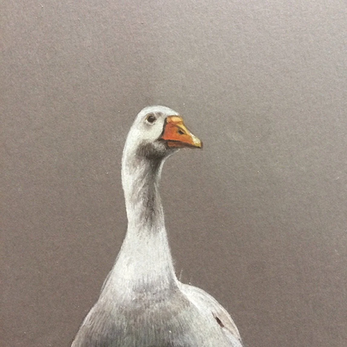 "Capoeira VI"
20x20 cm

Lápis de cor sobre papel
[colecção privada]