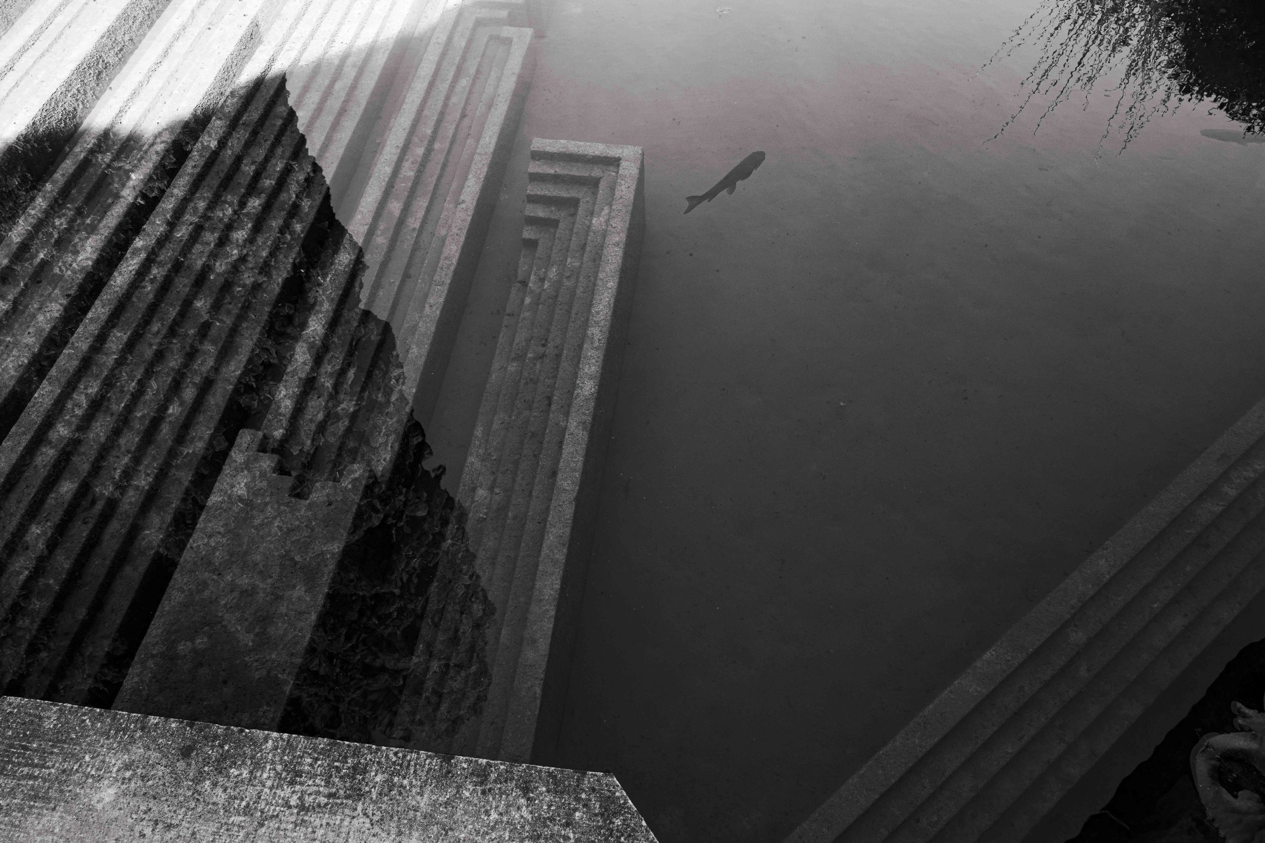 Paris-36.jpg