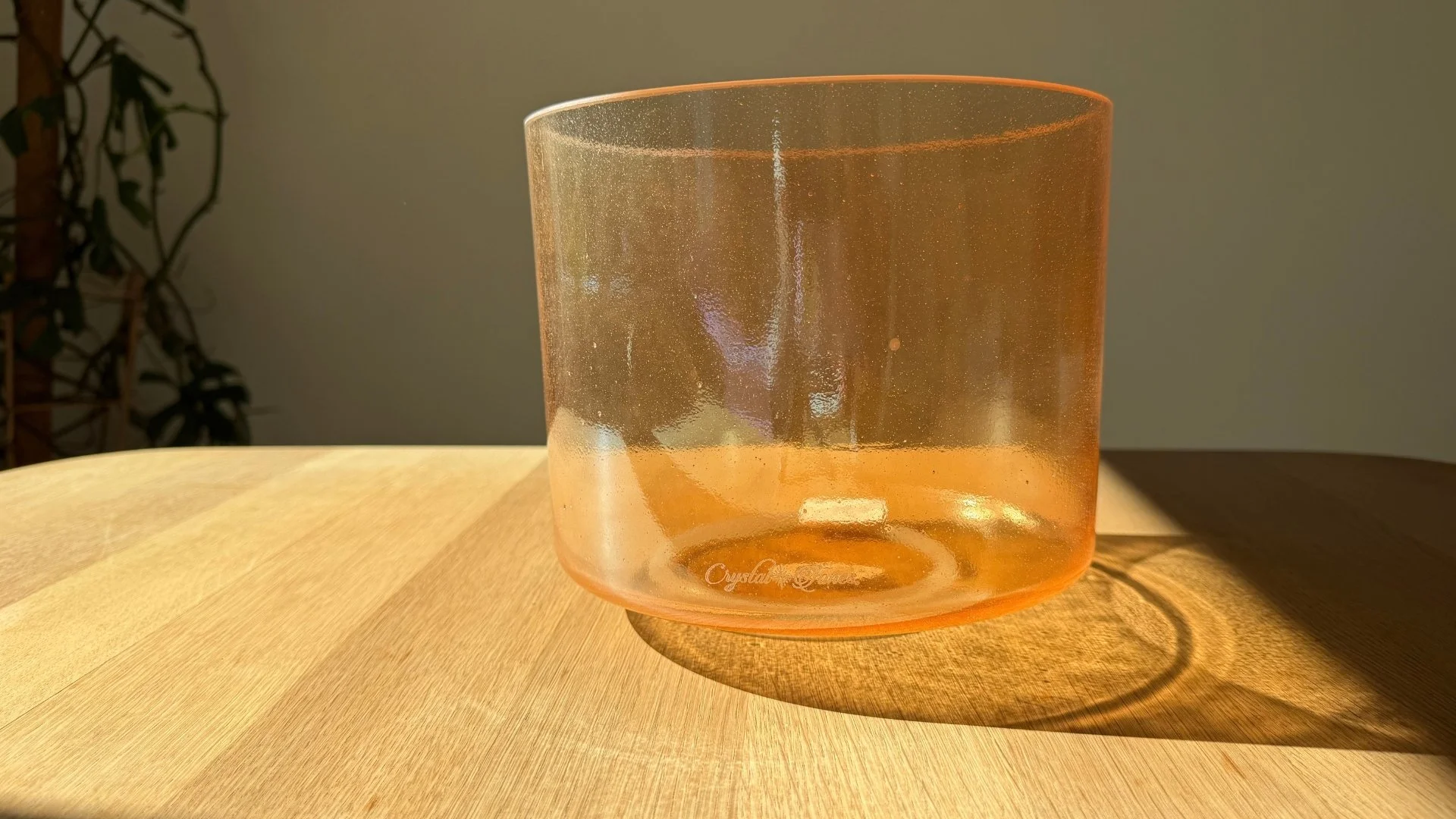 8" F-50 Grandmother | Alchemy Crystal Singing Bowl® by Crystal Tones®