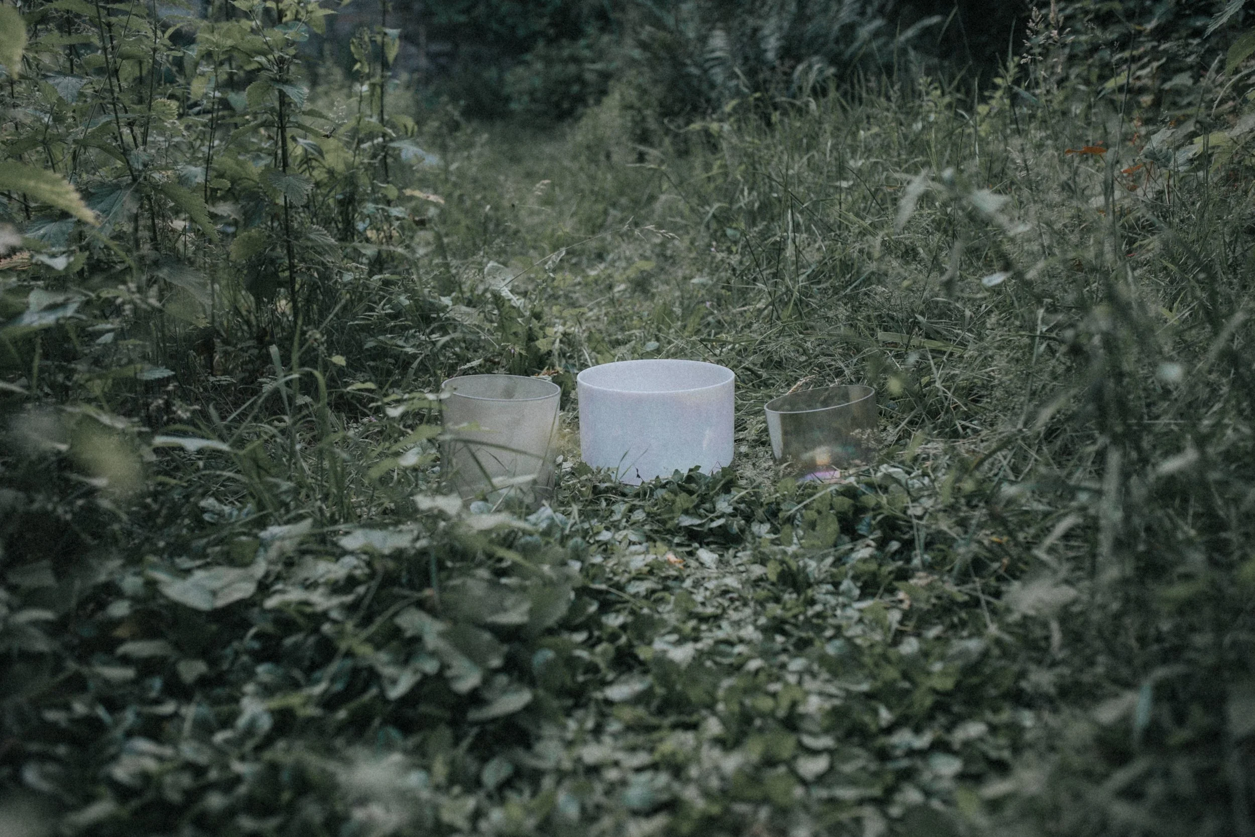 Sound Healing, Klangheilung, Frequenzen Wirkung, Nervensystem beruhigen, Entspannung durch Klang, Meditation mit Klang, Klangtherapie Wirkung