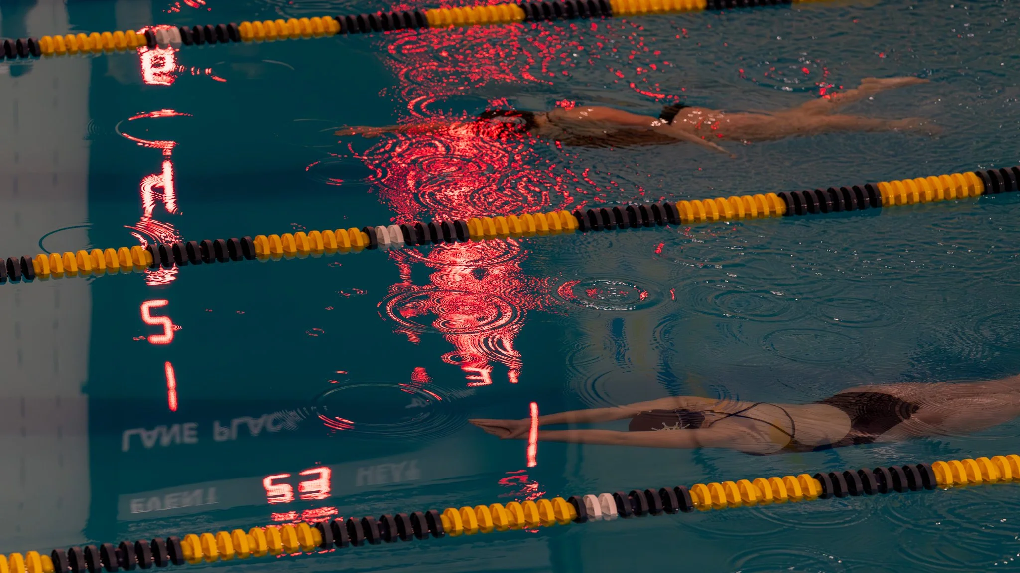 Falmounth_Navigators_Swim_sm_20240107-160.jpg