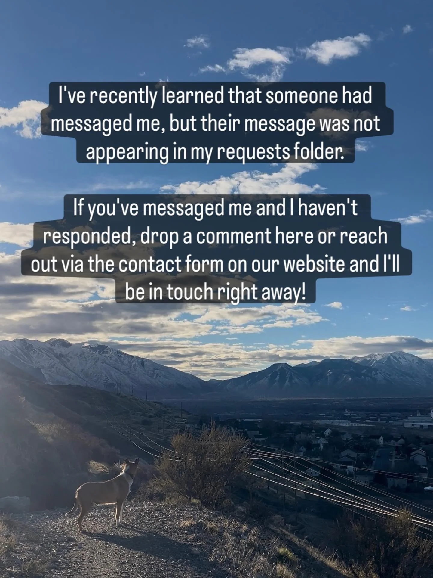 I'm hoping this was a one time thing, but I'm so sorry if anyone else has been left hanging!