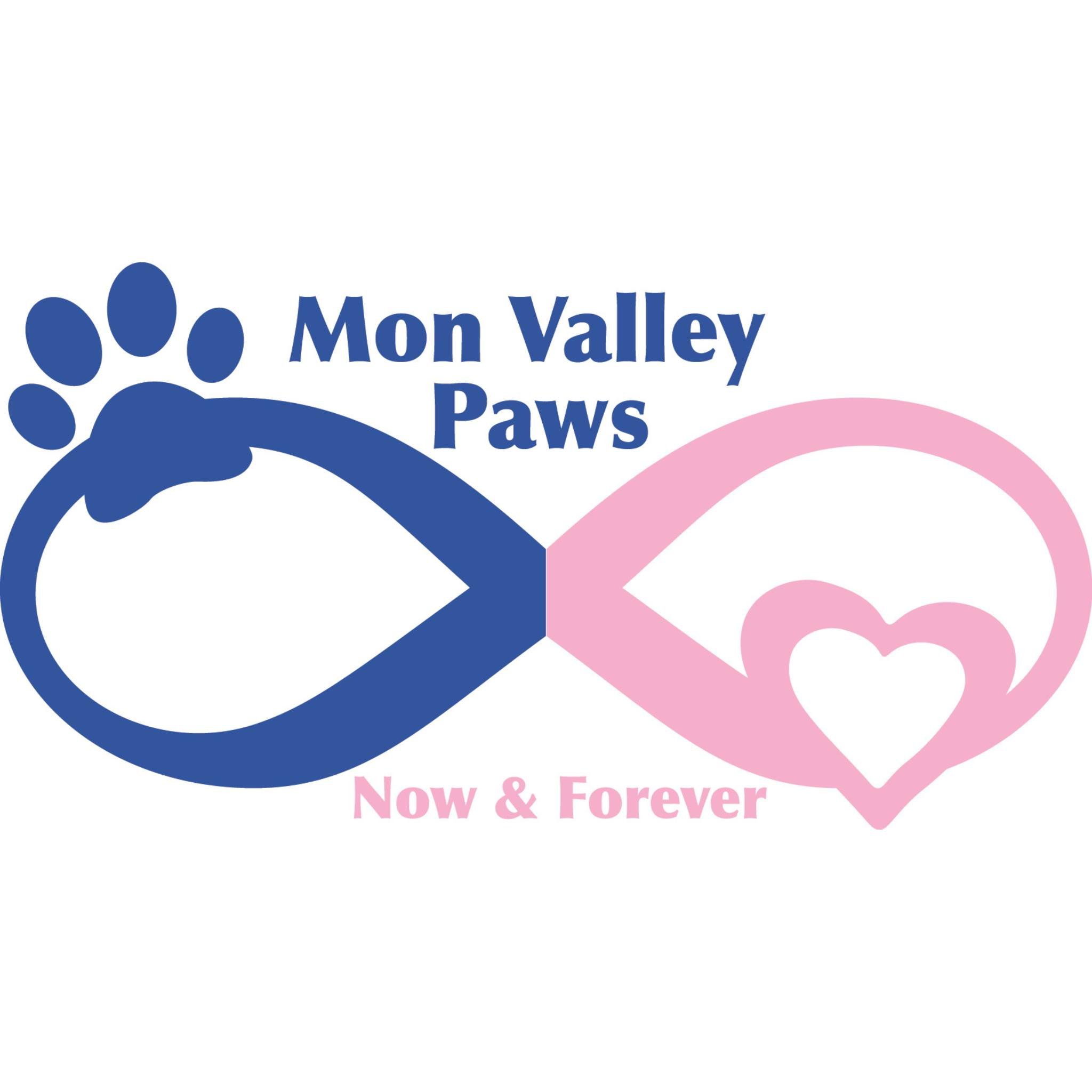 Fur &amp; Flash Tattoo Fundraiser