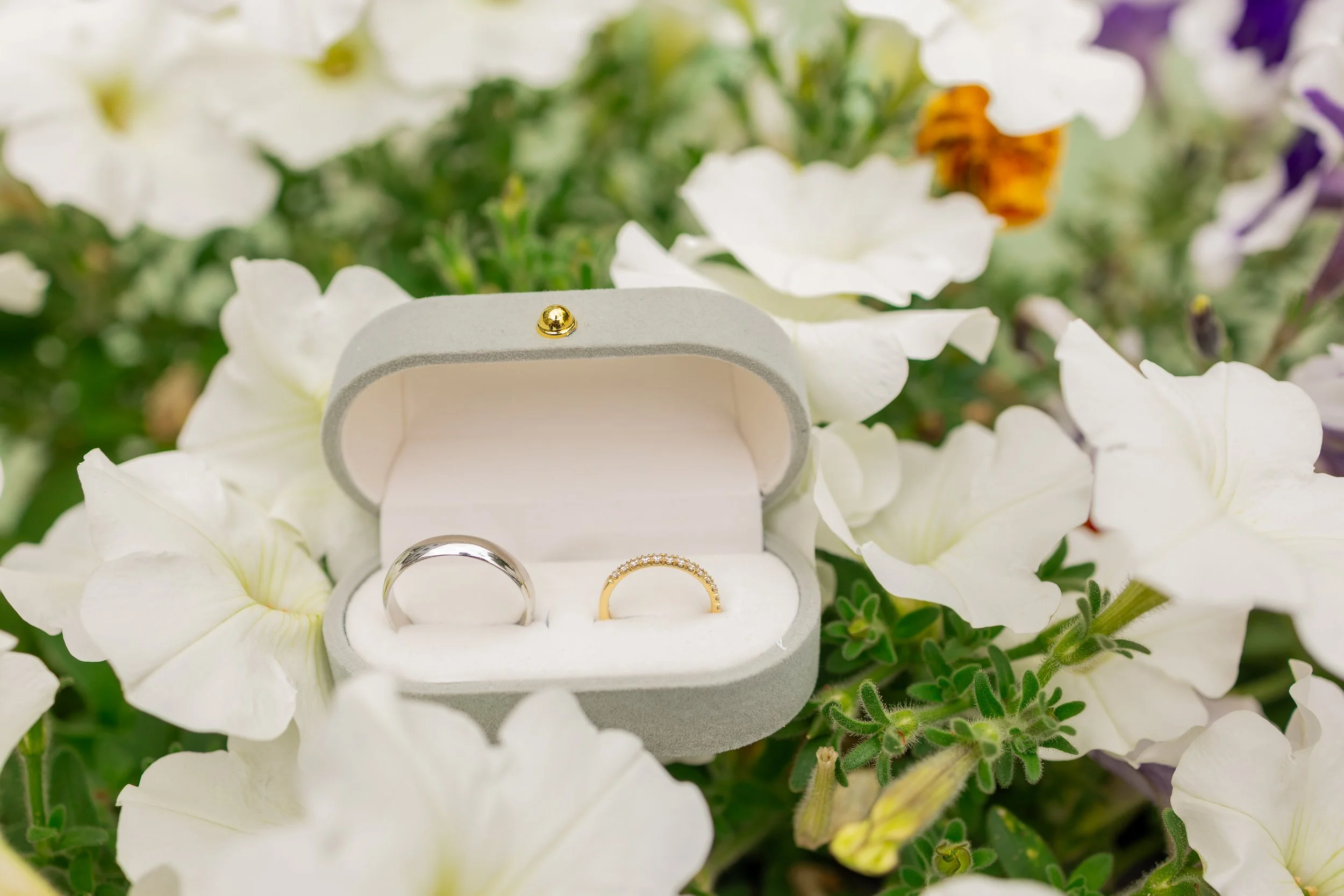 F914D43A-9060-4060-8D95-AB3062A62981.jpeg