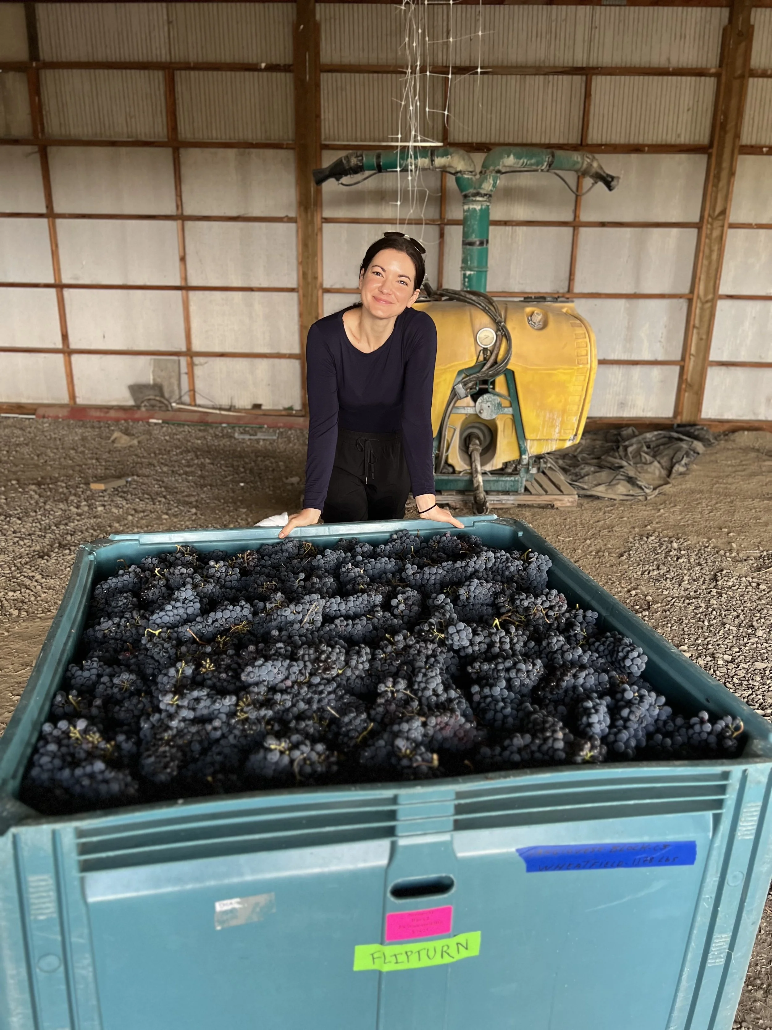 Women in Wine: The Art of Micro-Winemaking