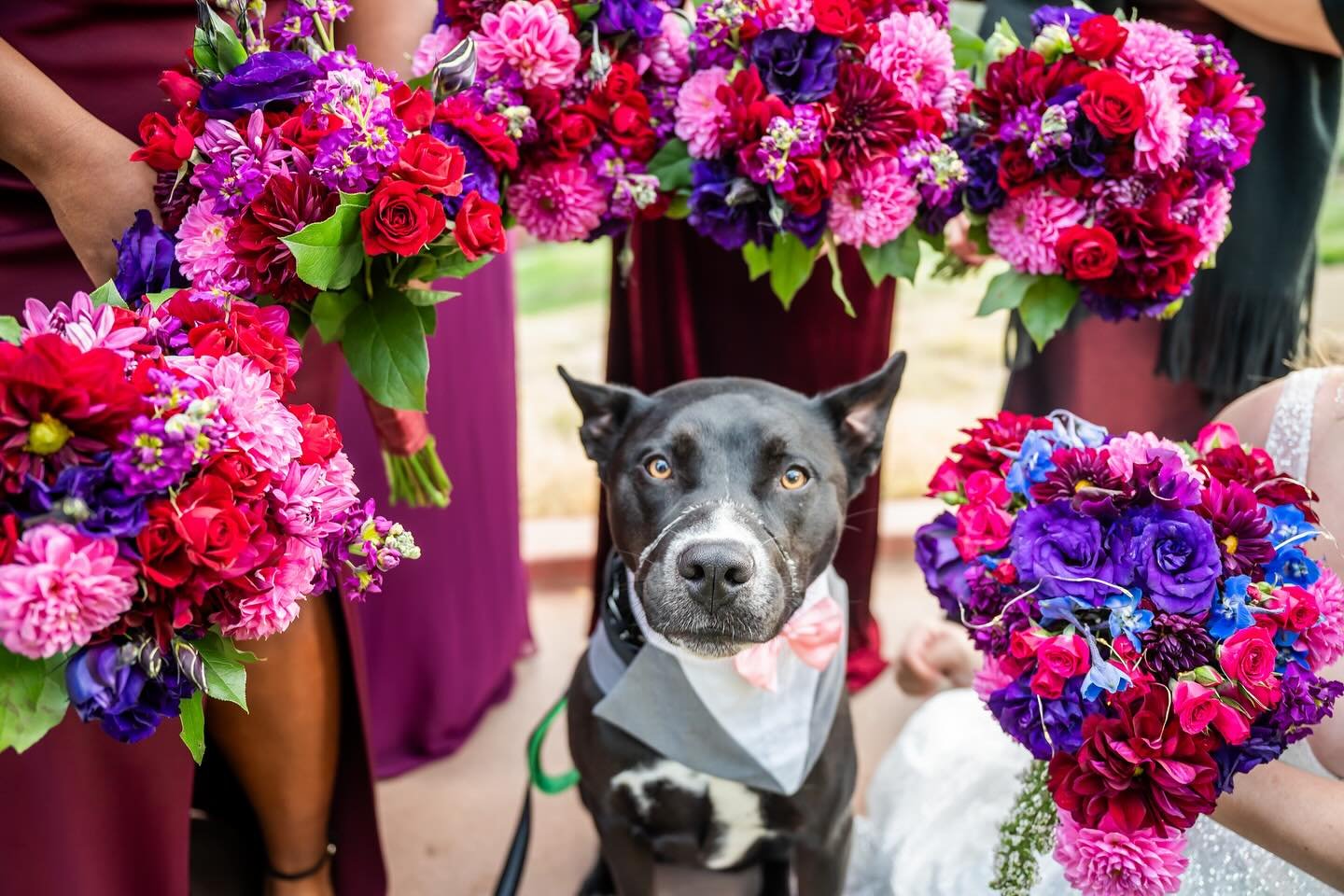 I don&rsquo;t think there&rsquo;s anything cooler than getting to walk one of our clients&rsquo; dogs down the aisle at their wedding. Bingo was looking sharp and definitely lived up to his &ldquo;best dog&rdquo; title. Congratulations Pete and Weath