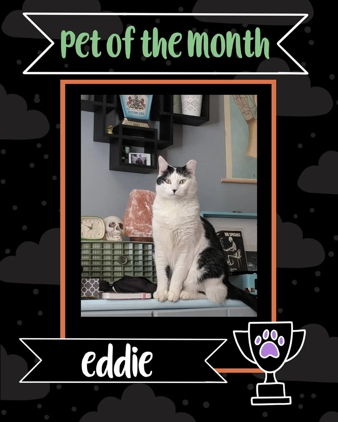 ALL HAIL EDDIE! Our September Pet of the Month champion! ๐
This was no ordinary contest! It was an all-out battle between Eddie and Ziggy. But after some fierce and impressive campaigning, Eddie clawed his way to victory. Eddie is one hell of a cat