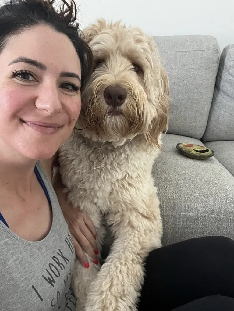 Ghoul squad in action ๐
Pets doing the tricks and staff passing out the treats. Can’t decide who’s having more fun! ๐ฌ
#nightofthelivingpets #ghoulsquad #trickortreat #lifeofapetprofessional