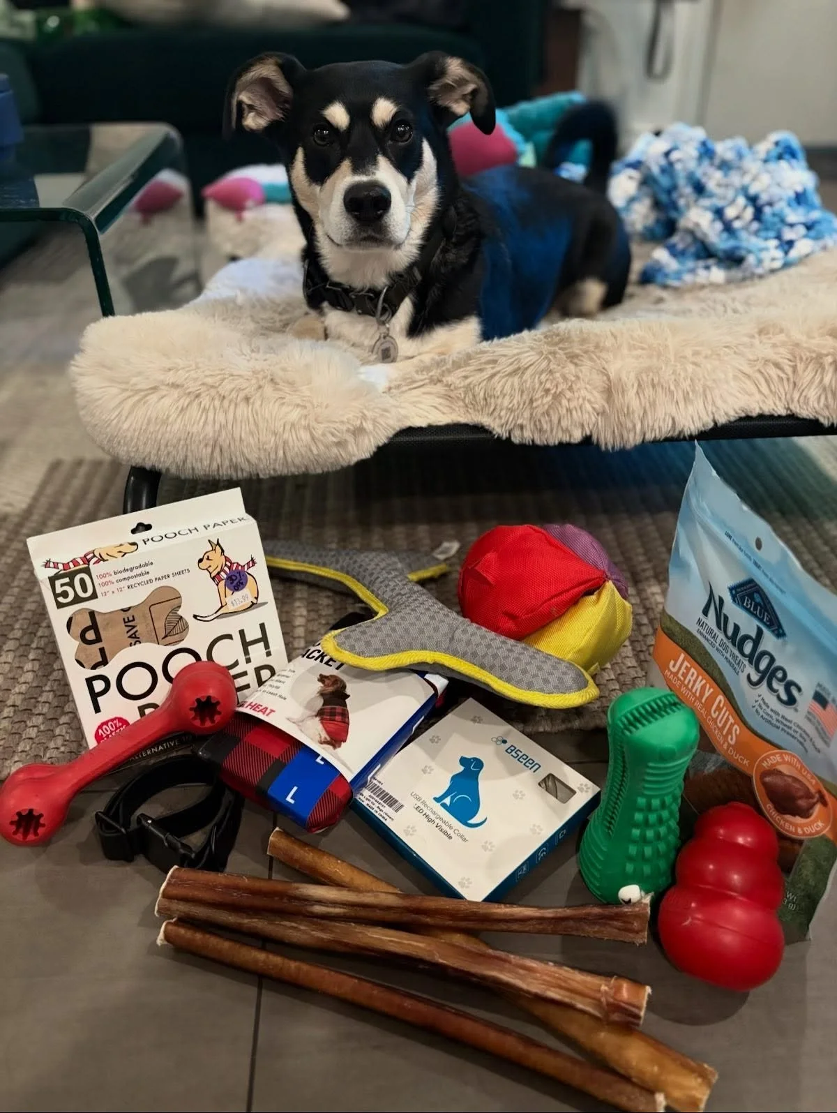 Big love to our amazing clients ๐งก 
Thanks to Y O U , we’ve gathered a ton of donations to bring straight to our local shelters, helping pets in need stay fed, cozy and cared for. ๐๐ผ
Every blanket, bag of food and toy makes a the biggest di