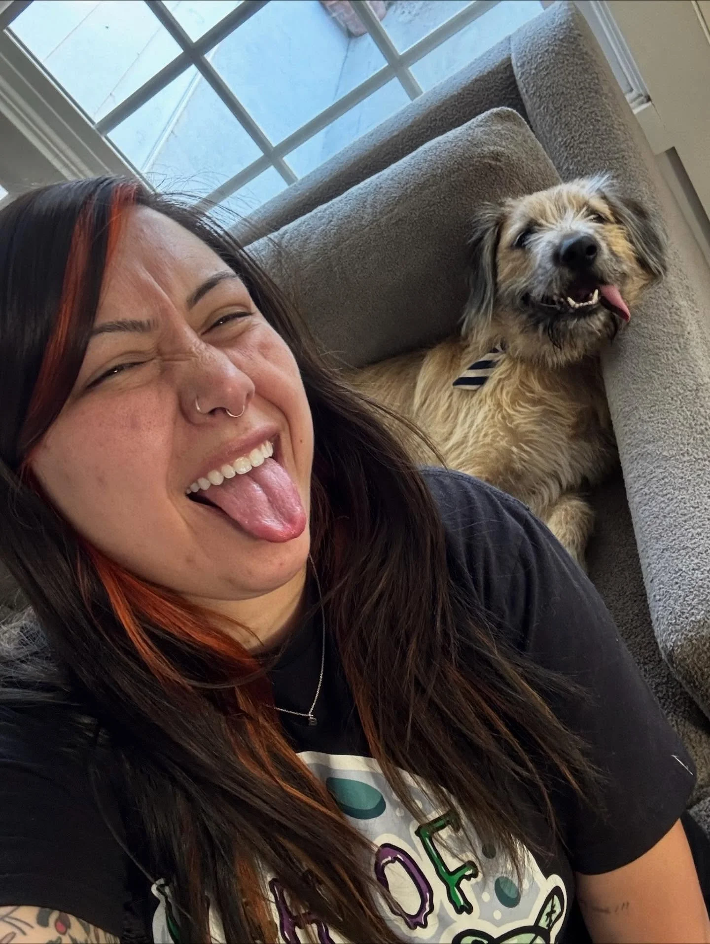 When you realize it&rsquo;s Tongue Out Thursday.&nbsp; 👅 
#nightofthelivingpets #tongueoutthursday #dropdeadaorable #petswithtonguesout