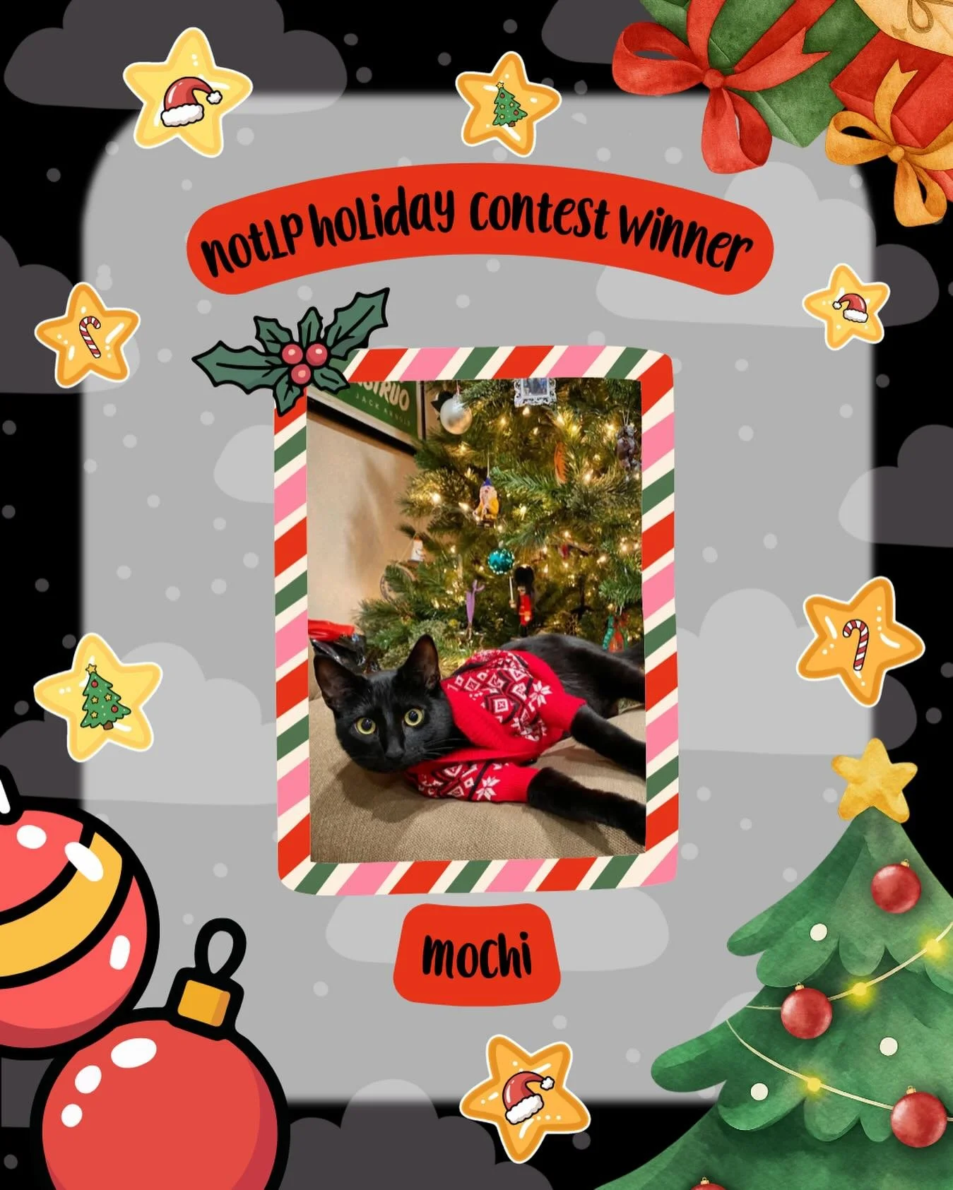 And the holiday crown officially goes to&hellip;Mochi. 👑🎄🐱

Mochi understood the holiday assignment and executed it flawlessly. 👏🏽

Ugly Christmas sweater ✔ Christmas tree perfectly positioned in the background ✔ Posing perfectly for the camera 