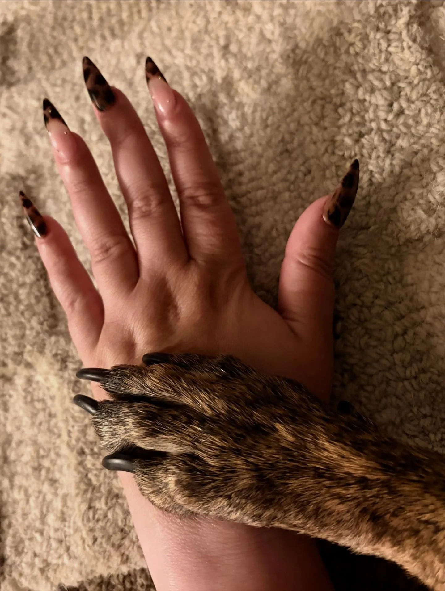 One of these woke up flawless and the other needed an appointment.

Cast your vote in the comments👇🏻
 💅🏻 = human 🐾 = pet

#nightofthelivingpets #whodiditbetter #humanvspet