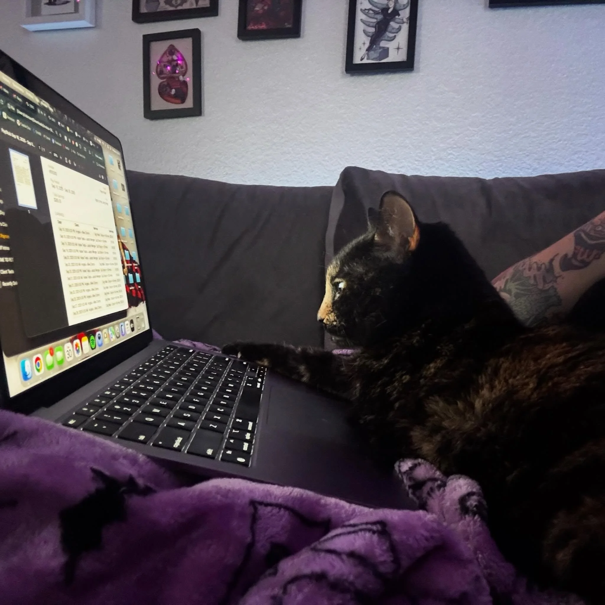 Every email must be approved with at least one paw on the keyboard. 🐾⌨️

#nightofthelivingpets #petassistants #professionalpets