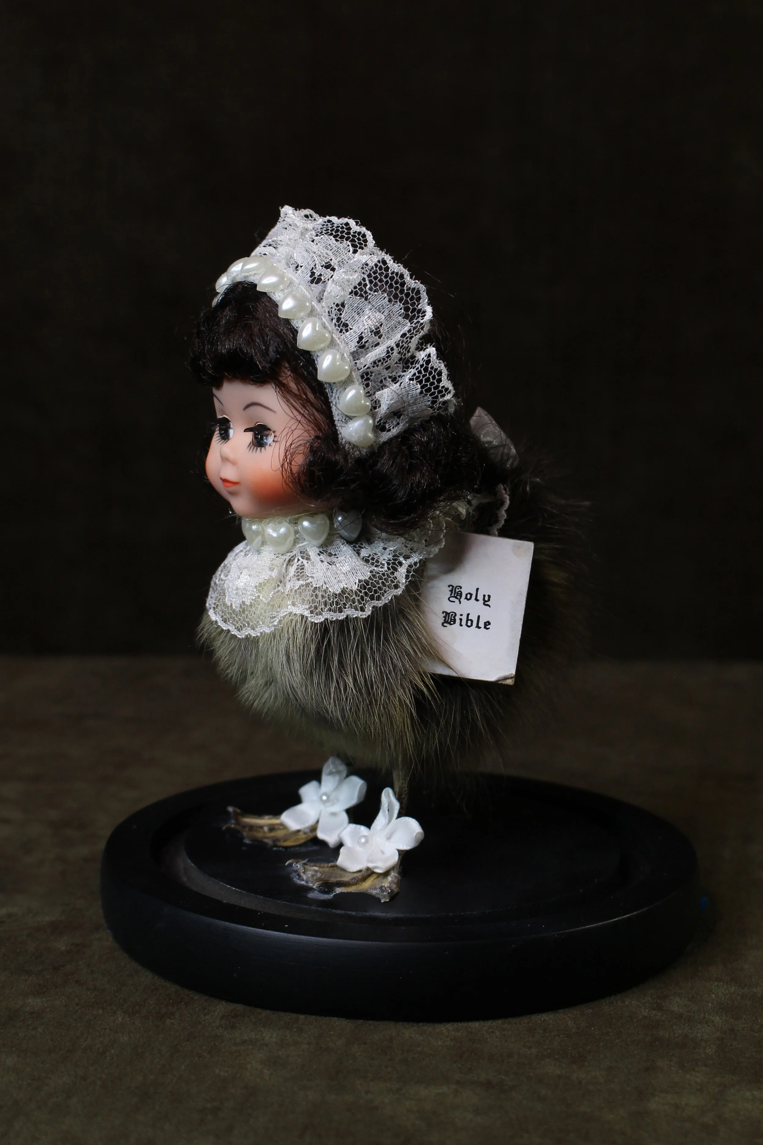 EchoEcho_6a_Little Miss Quack Quack Dome.jpeg