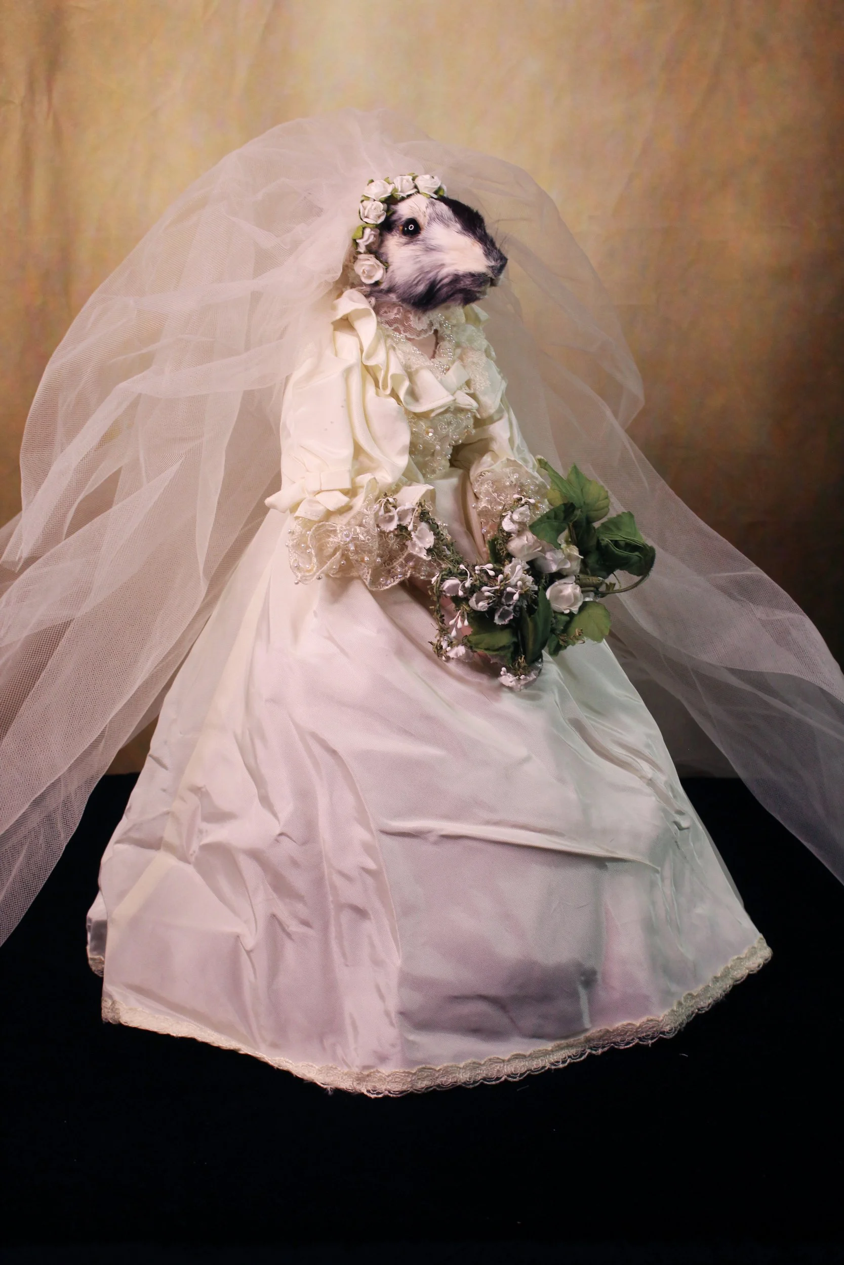 Left At the Altar, Bunny Bride