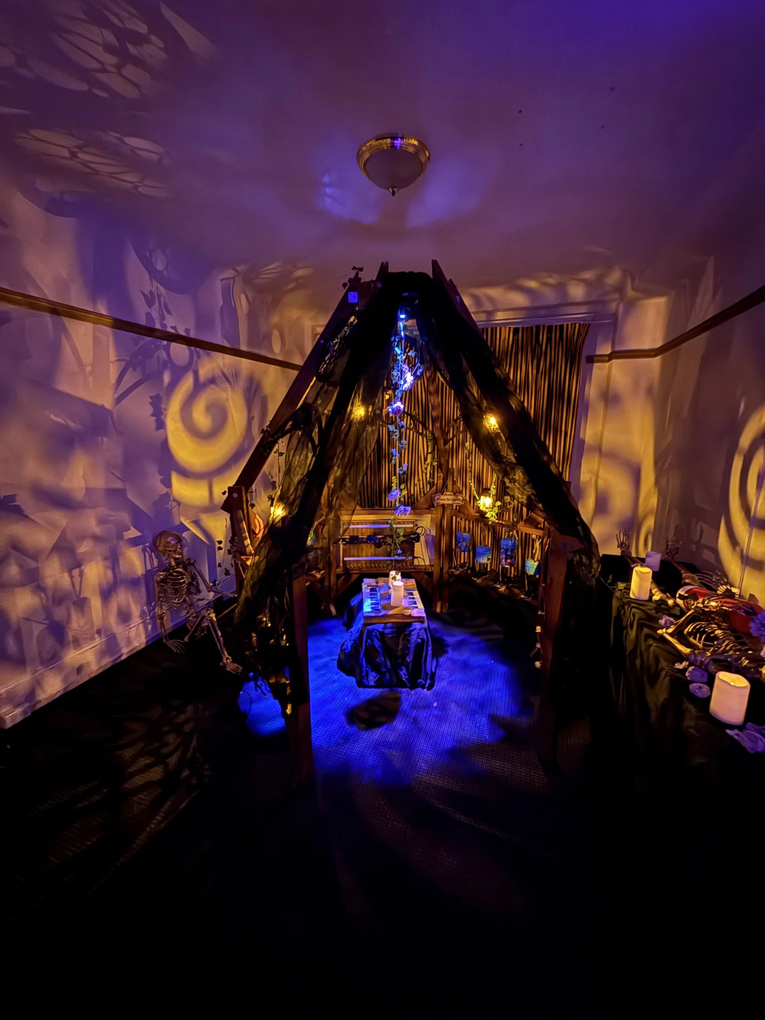 EmShotton_4_OrganOfNoBody - M Shotton.jpeg