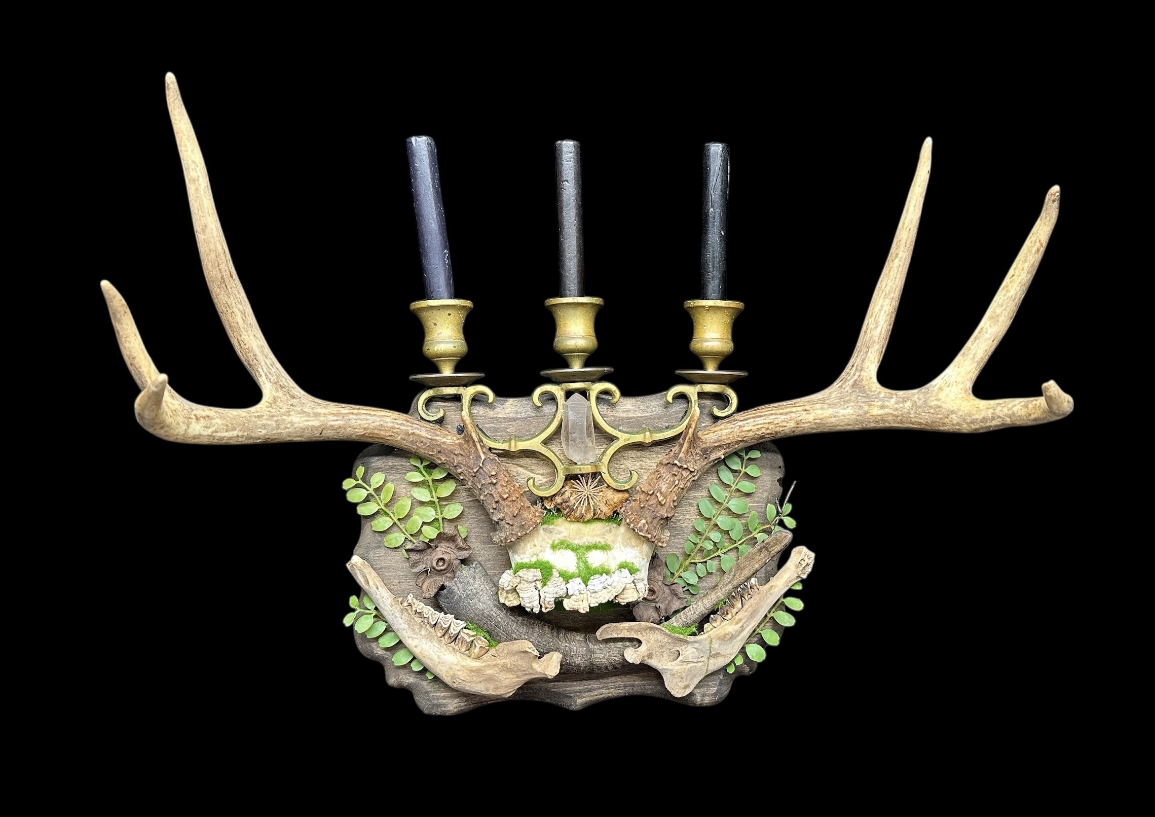 Whitetail Deer 6-point Antler Candle Holder