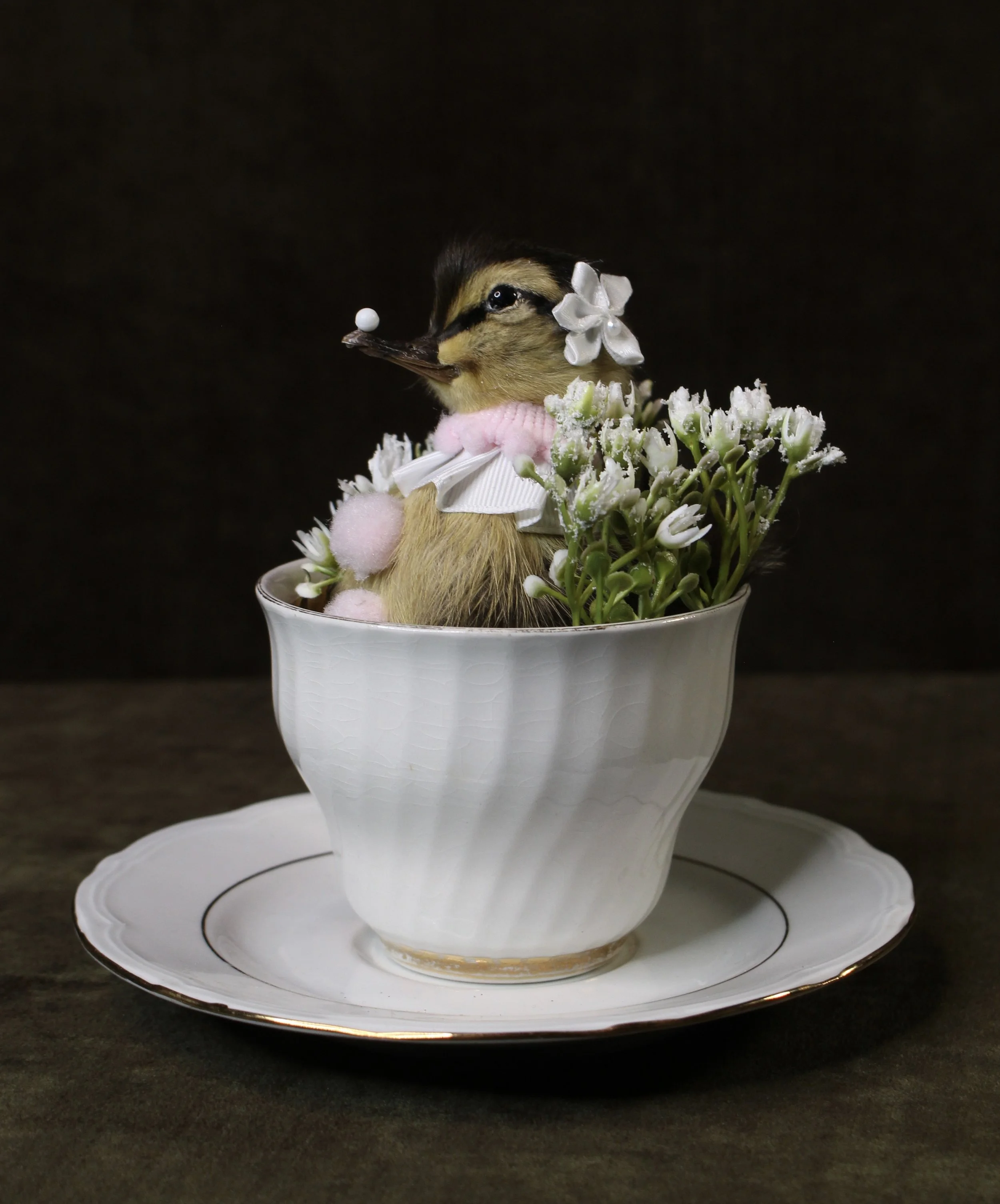 Pink Clown Tea Cup Duckling 2