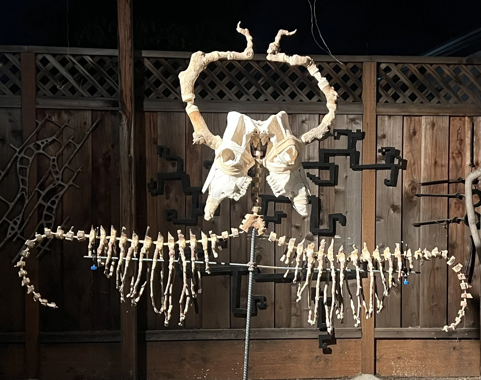 1 Ephemeral of the Eternal HG 2026.JPEG