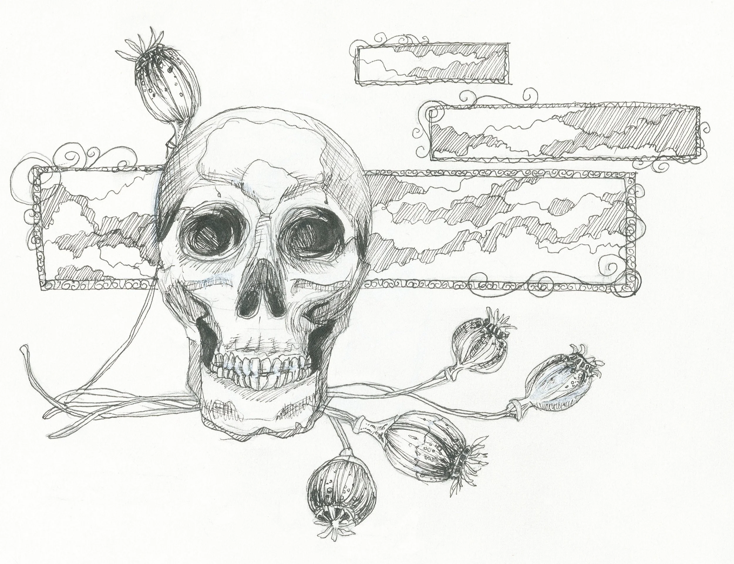 Skull & Poppies