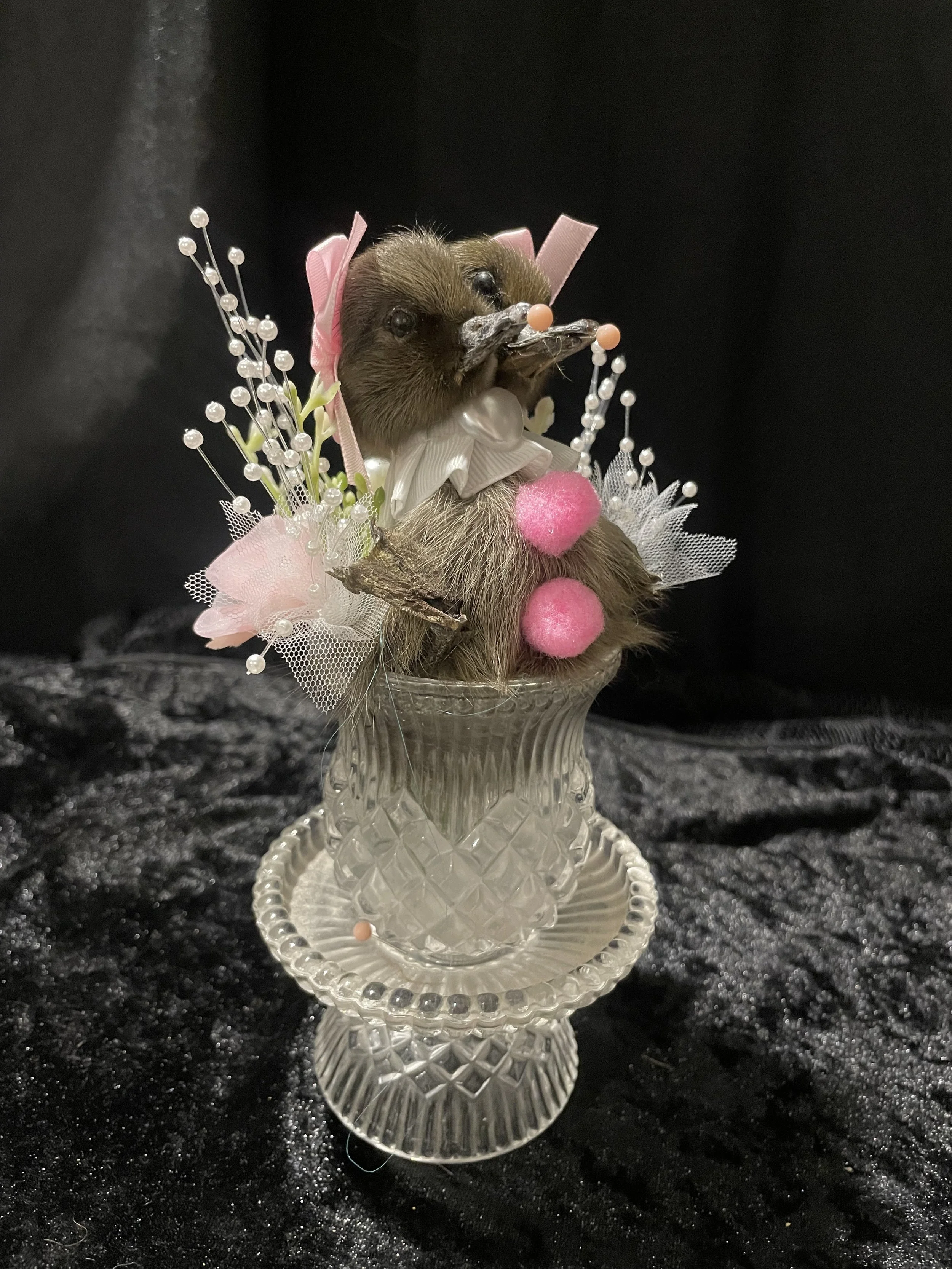 EchoEcho_13c_Pink Clown Conjoined Sisters in Crystal.jpeg