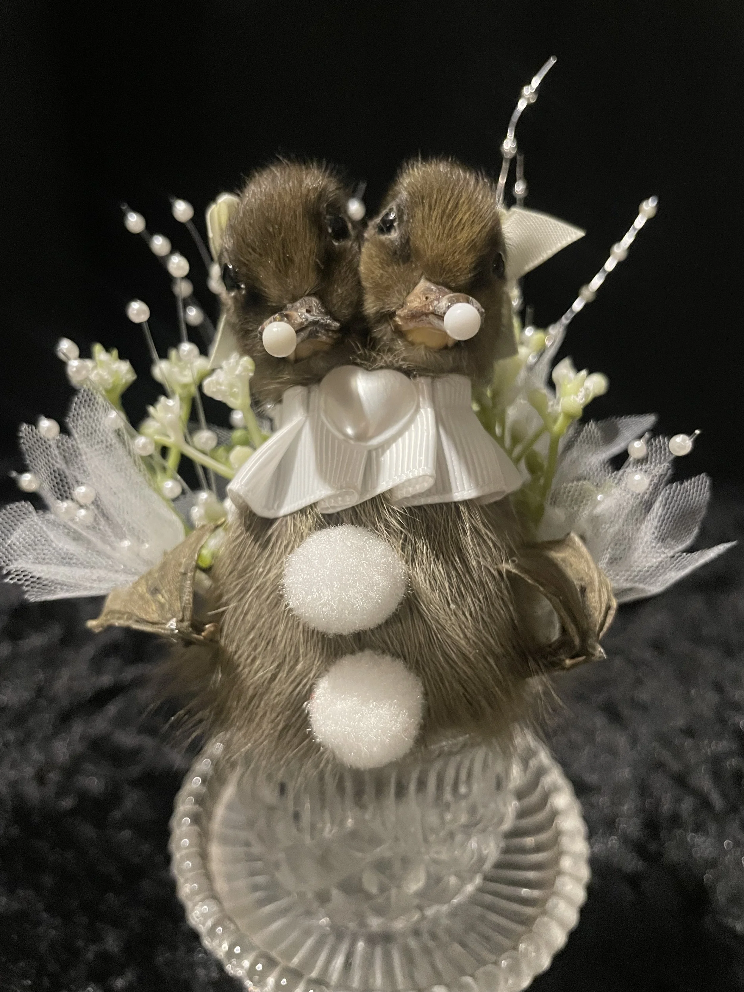 EchoEcho_12d_White Clown Conjoined Sisters in Crystal.jpeg