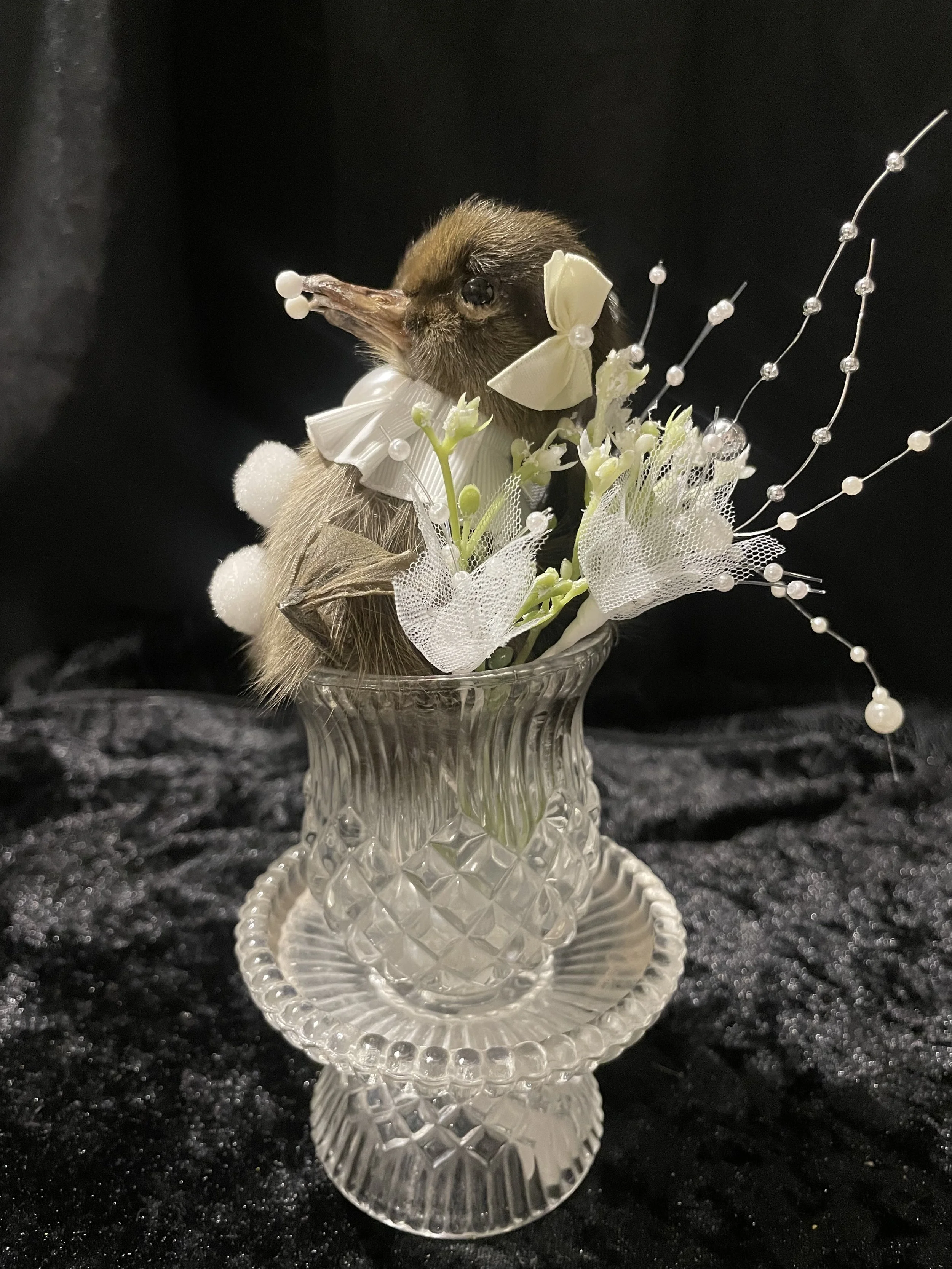 EchoEcho_12c_White Clown Conjoined Sisters in Crystal.jpeg