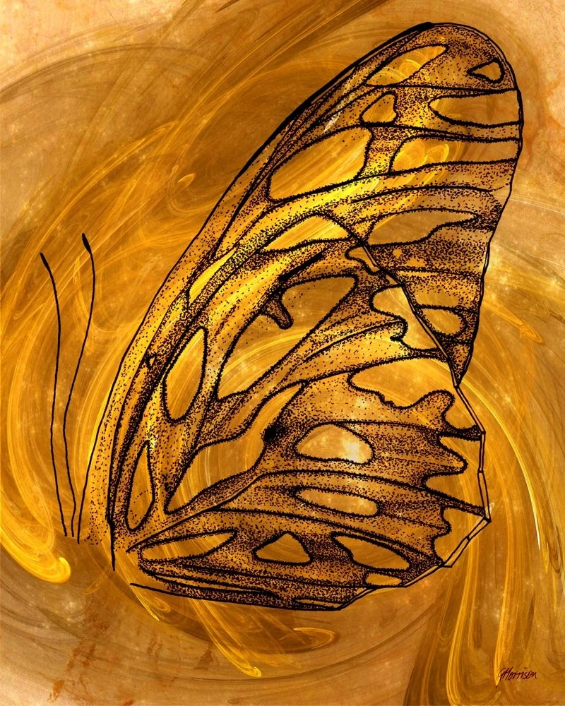 Gulf Fritillary Wings