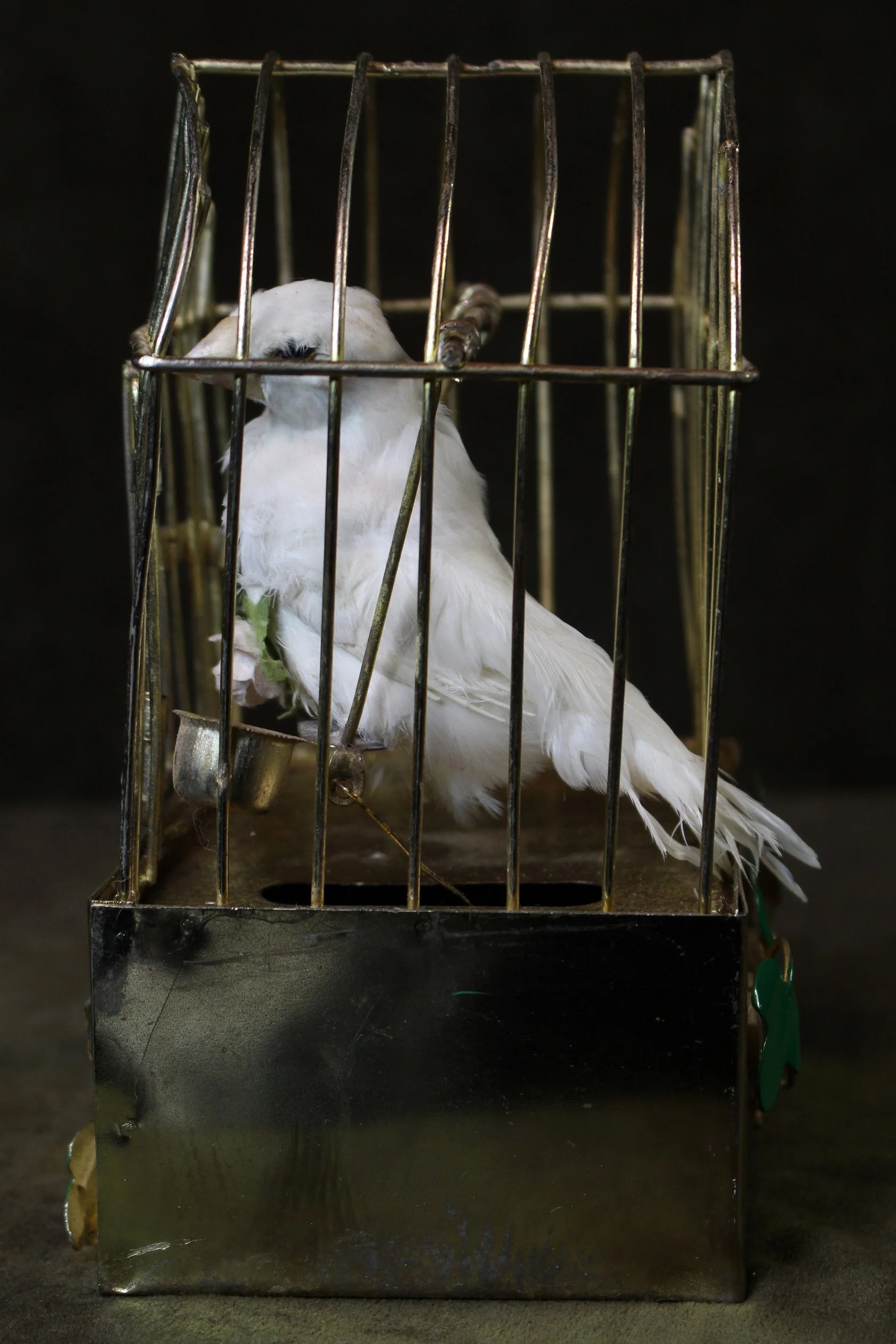 EchoEcho_3_Eternal Caged Songbird_3.jpeg