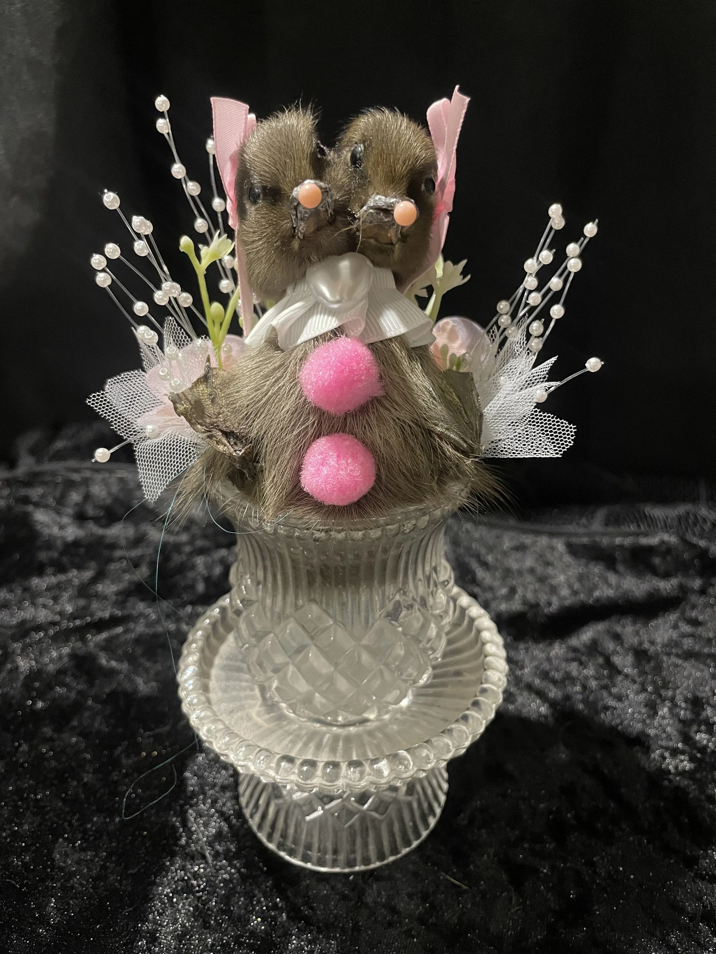 EchoEcho_13a_Pink Clown Conjoined Sisters in Crystal.jpeg