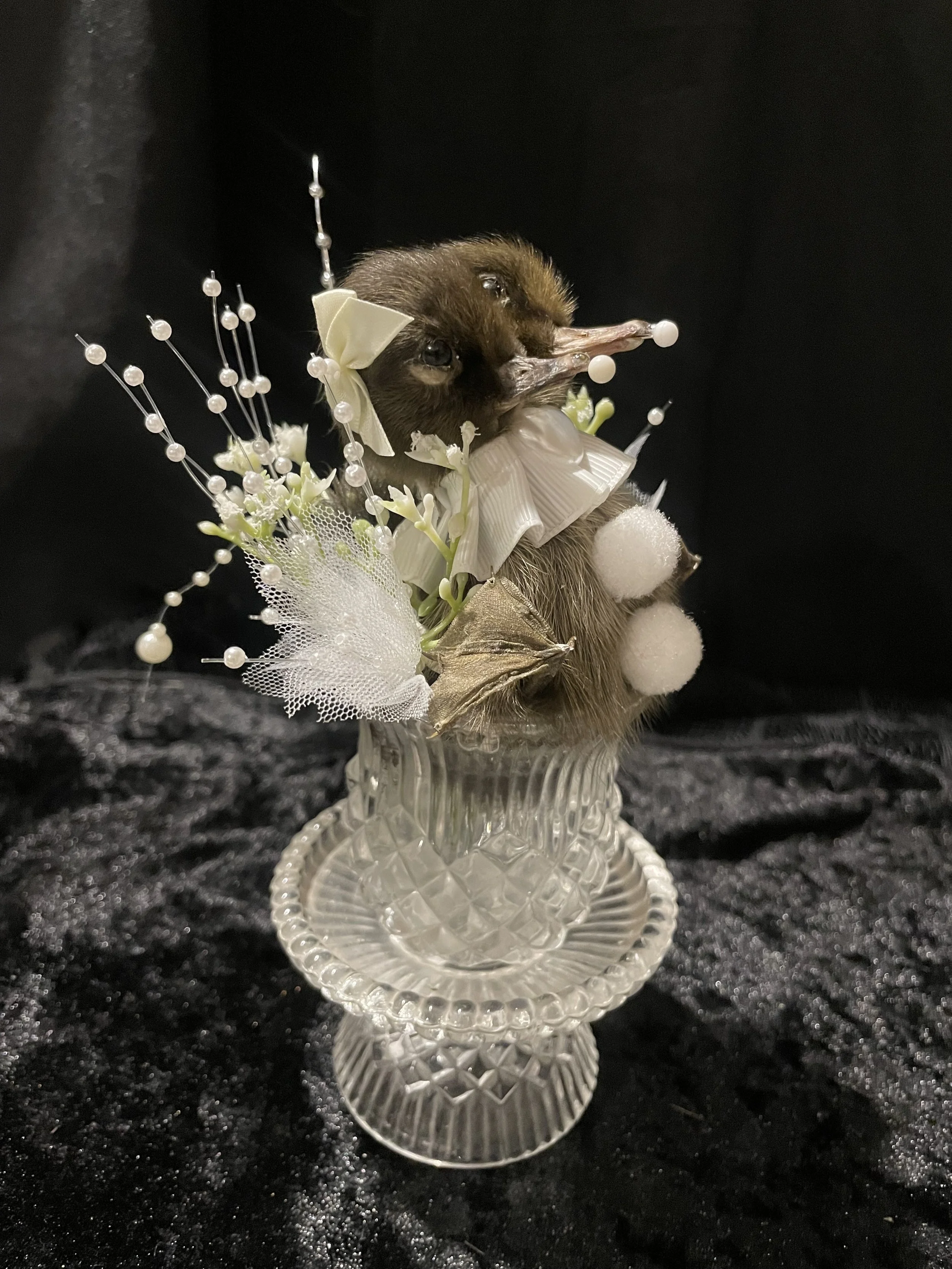 EchoEcho_12b_White Clown Conjoined Sisters in Crystal.jpeg