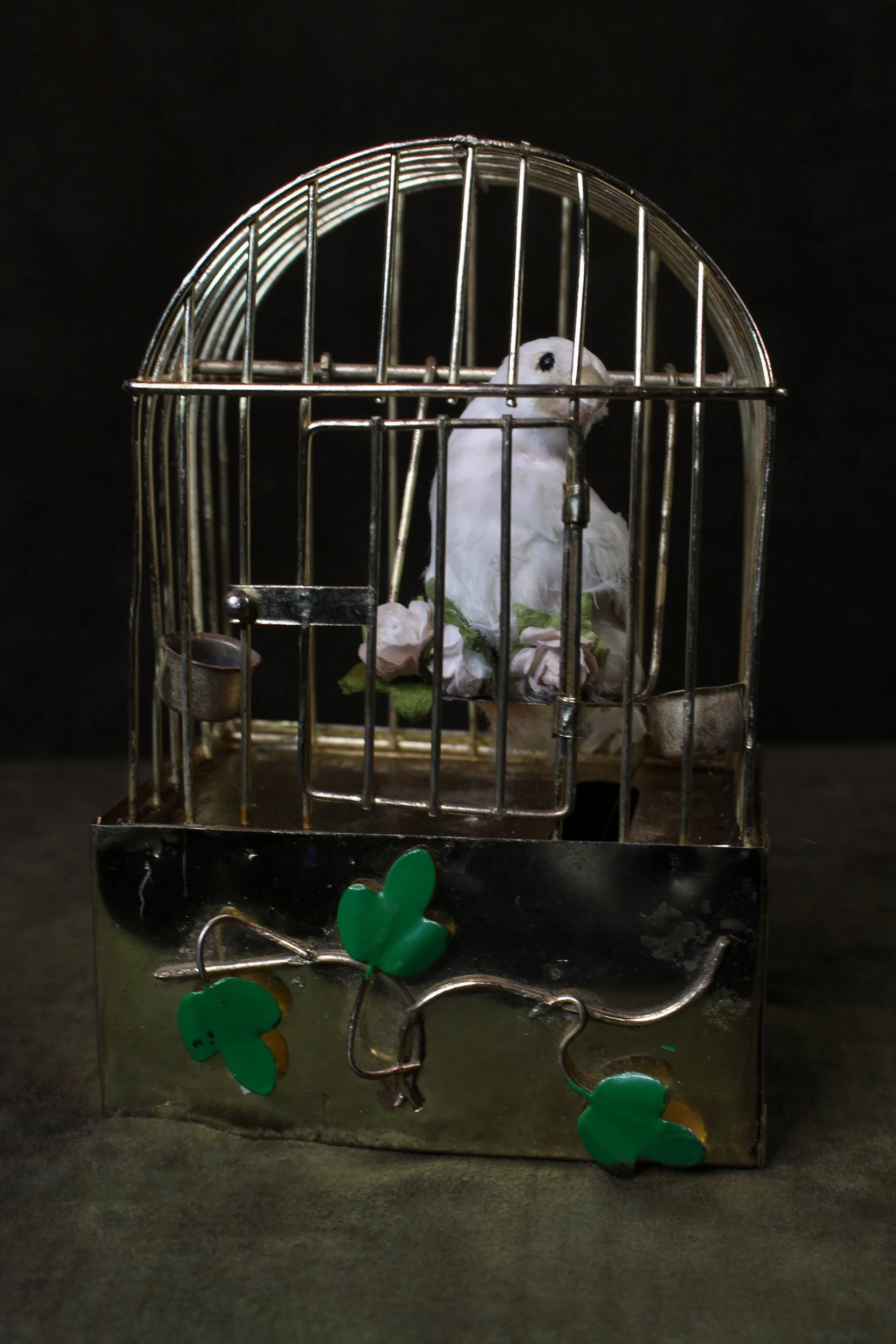 Eternal Caged Songbird