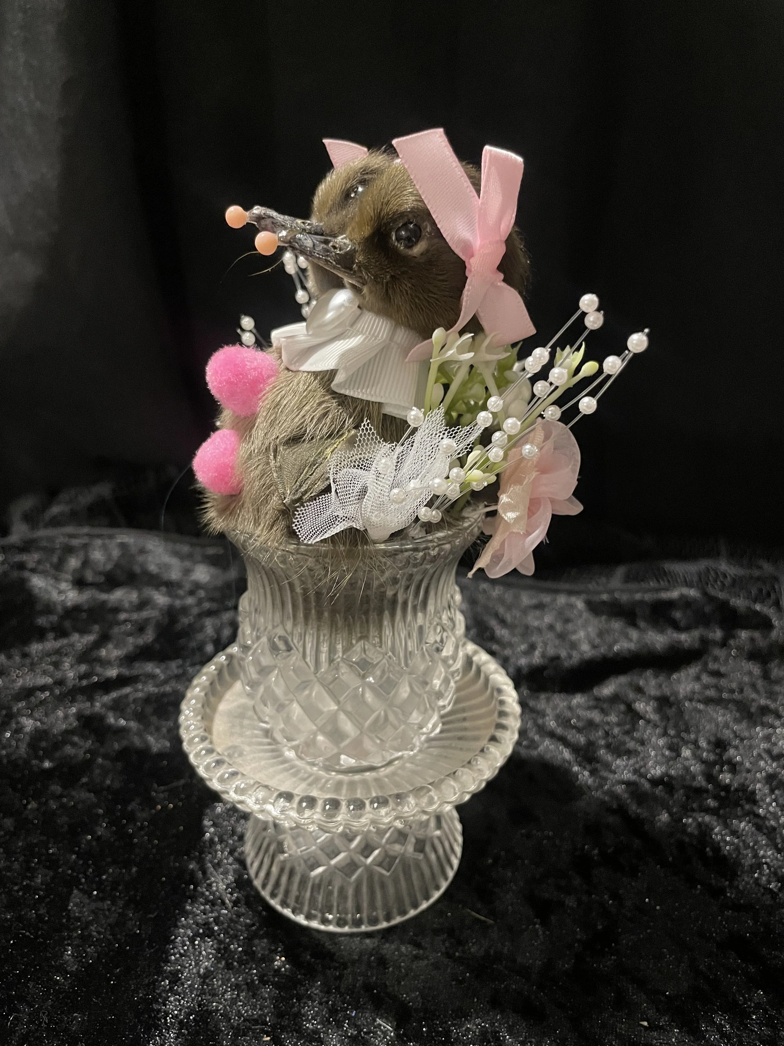 EchoEcho_13b_Pink Clown Conjoined Sisters in Crystal.jpeg