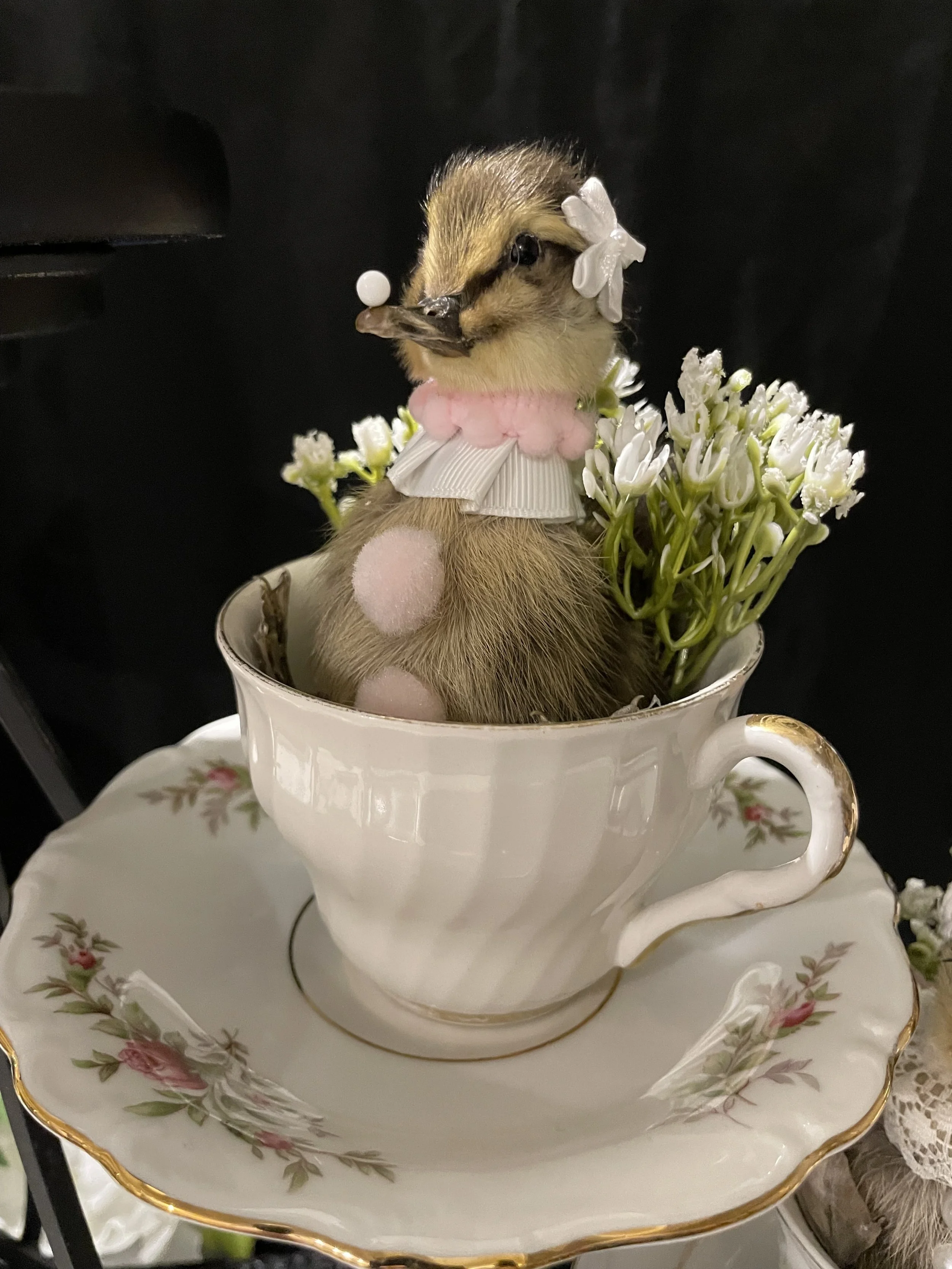 EchoEcho_8b_Pink Clown Tea Cup Duckling.jpeg