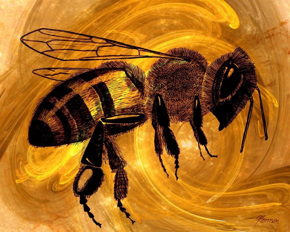 Honey Bee