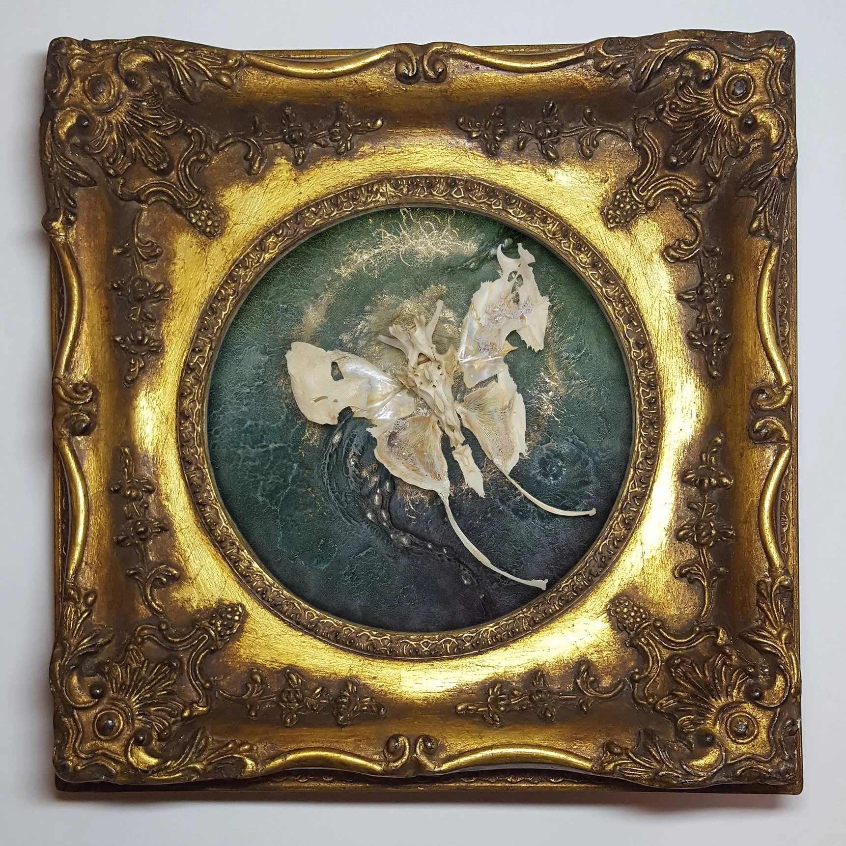 Papillio Phantasma 2