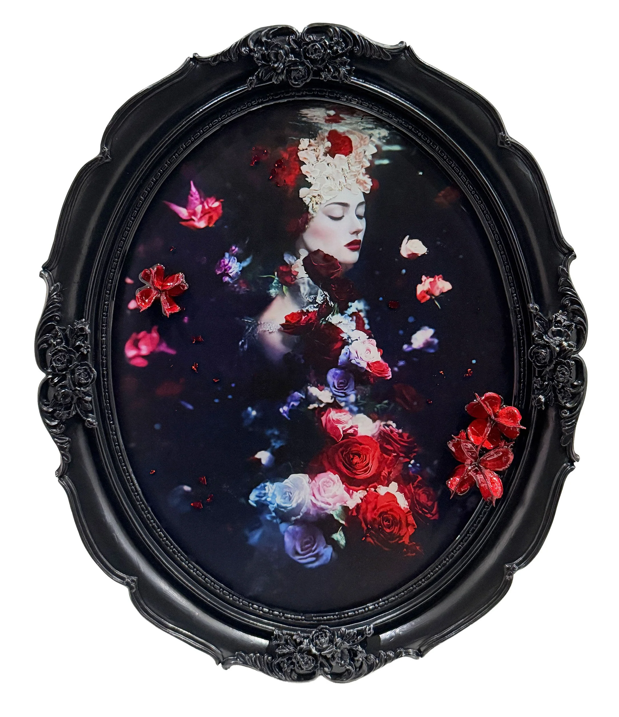 Le Chat Noir Photography