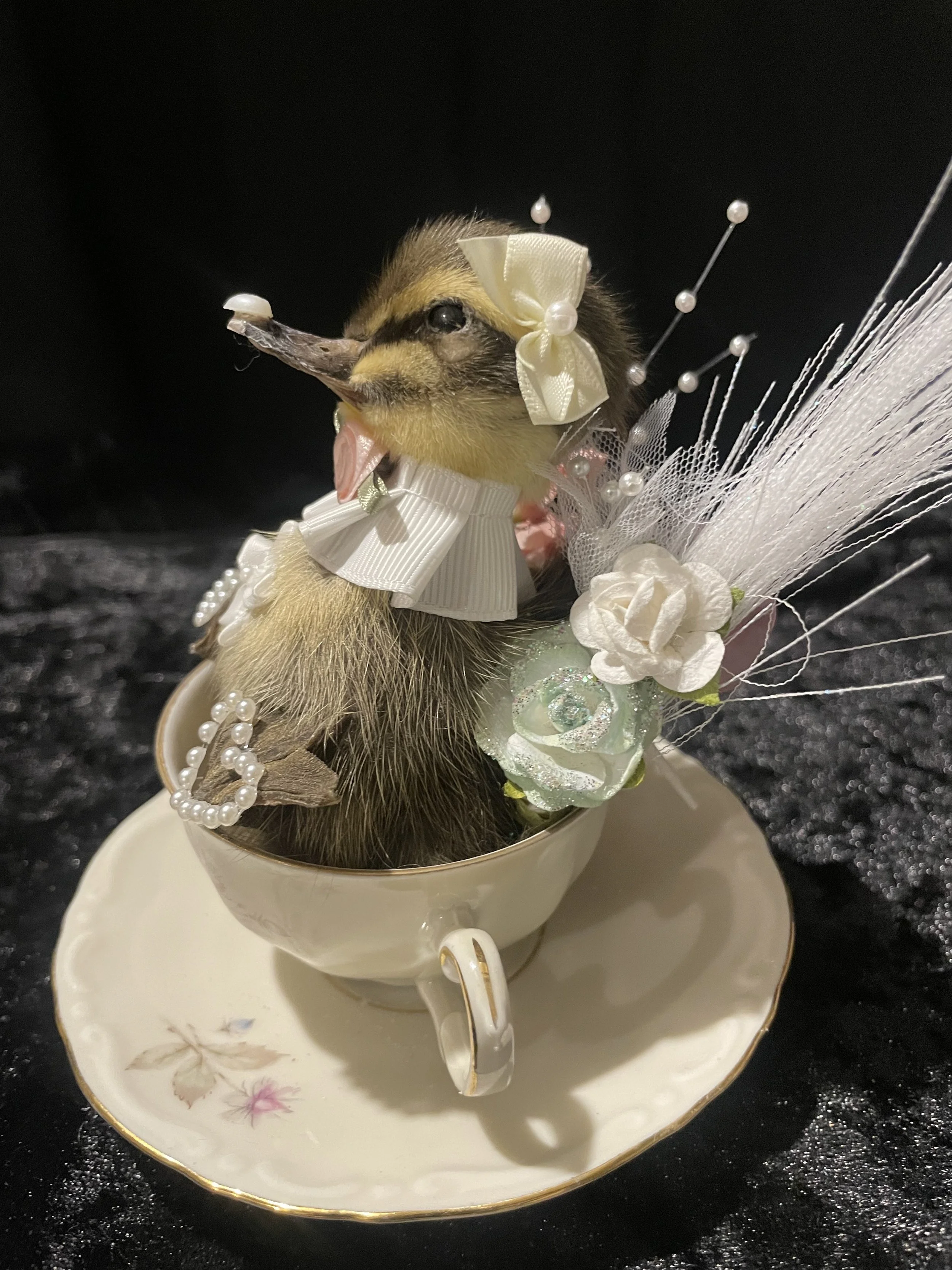 EchoEcho_11d_White pearl Hearted Tea Cup Duckling.jpeg