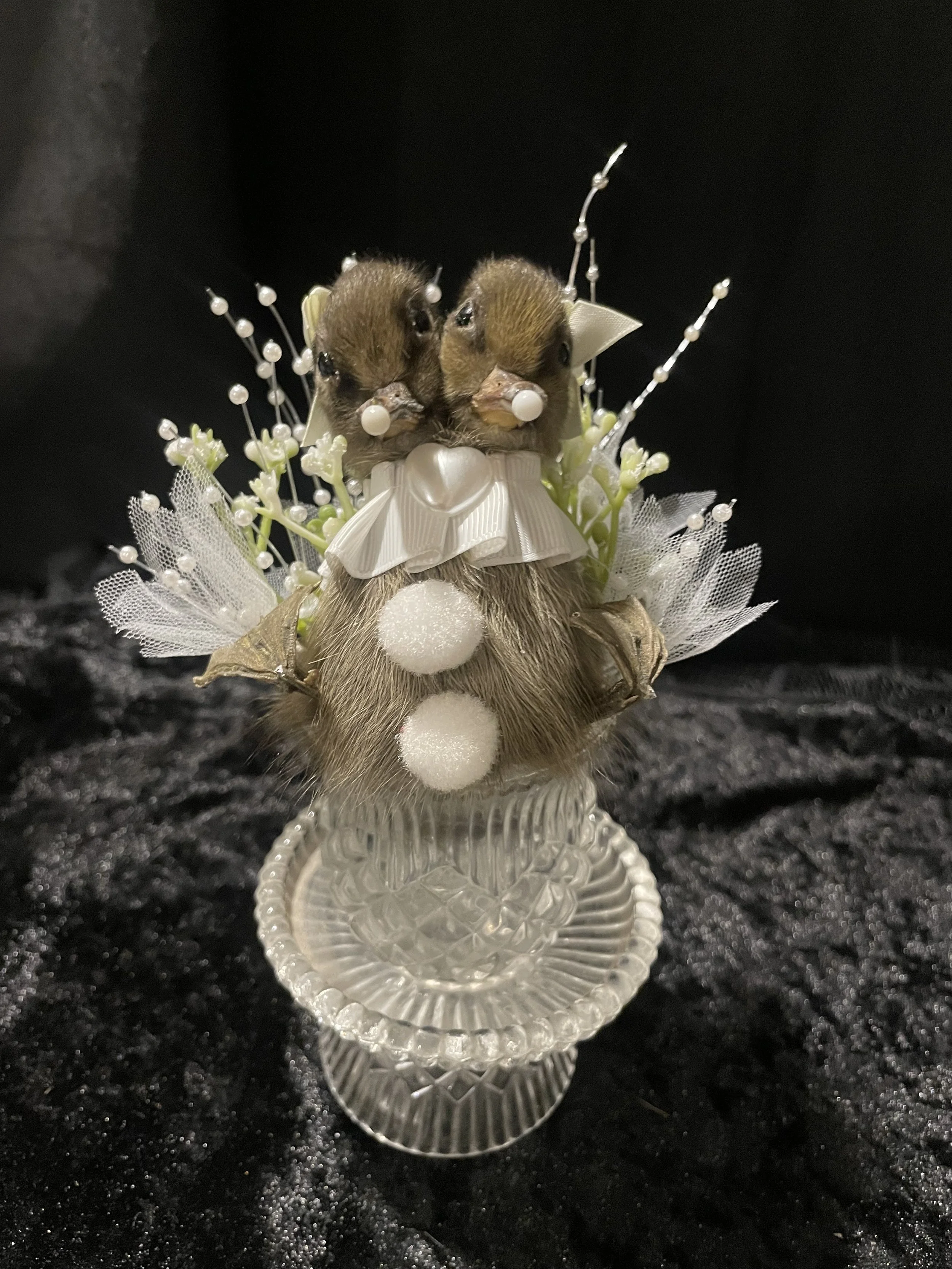 EchoEcho_12a_White Clown Conjoined Sisters in Crystal.jpeg