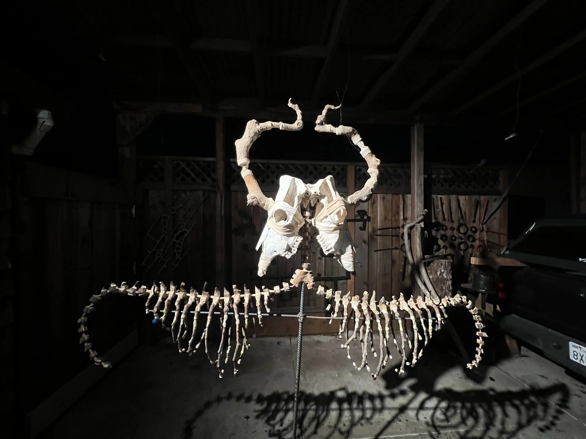 2 Ephemeral of the Eternal HG 2026.JPEG