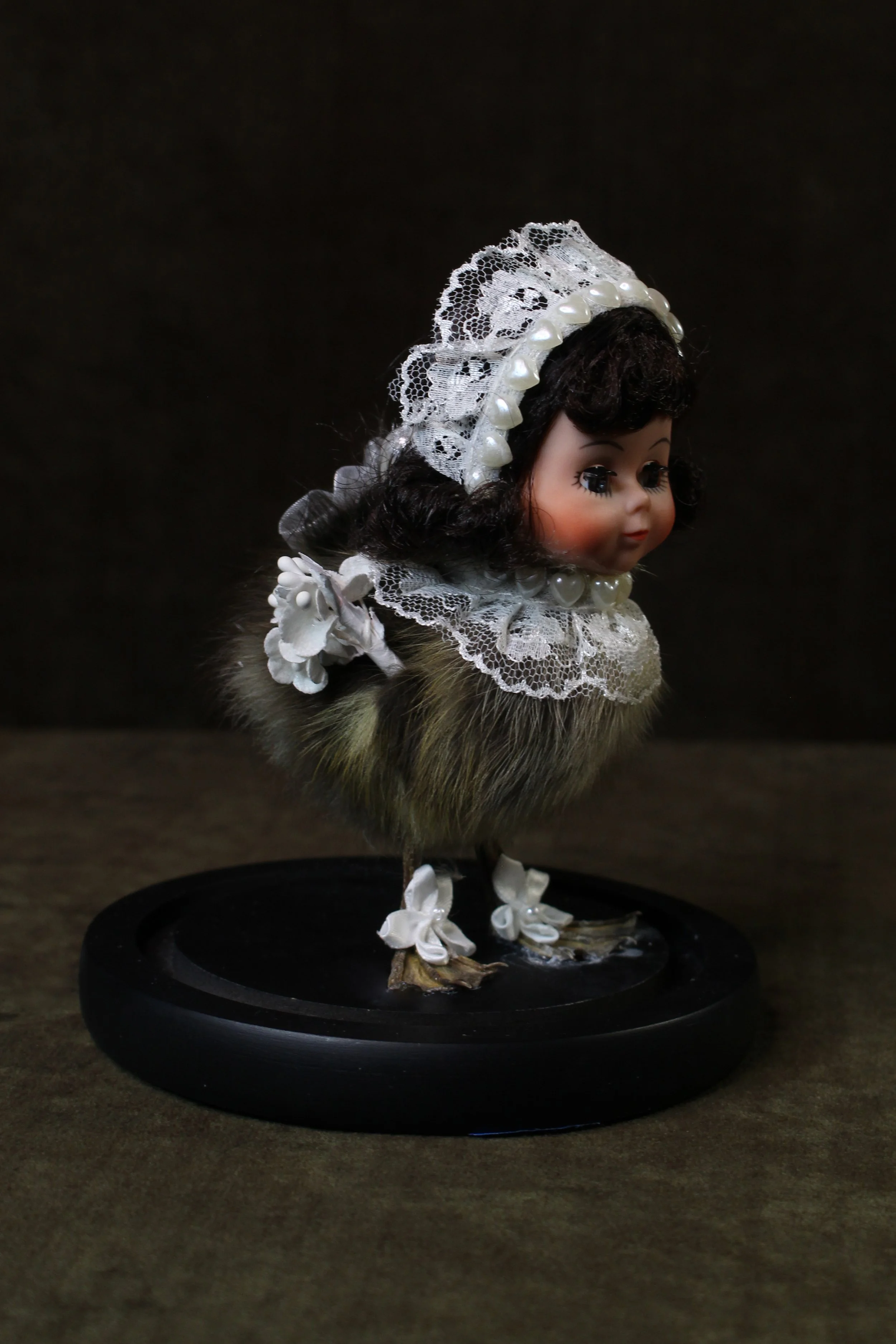 EchoEcho_6c_Little Miss Quack Quack Dome.jpeg